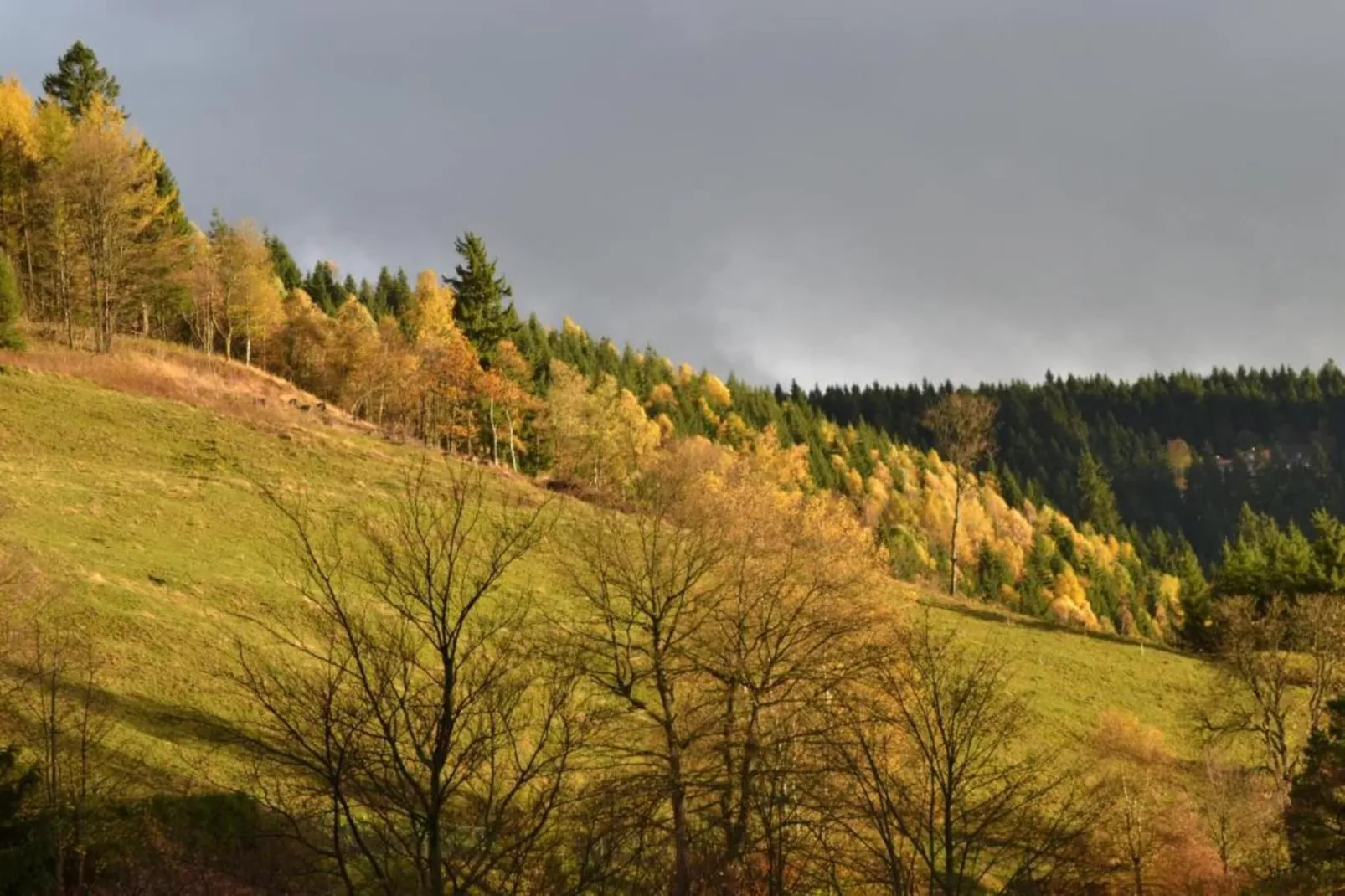 Ferienwohnung Stern - Harz Wildemann-Gebieden zomer 20km