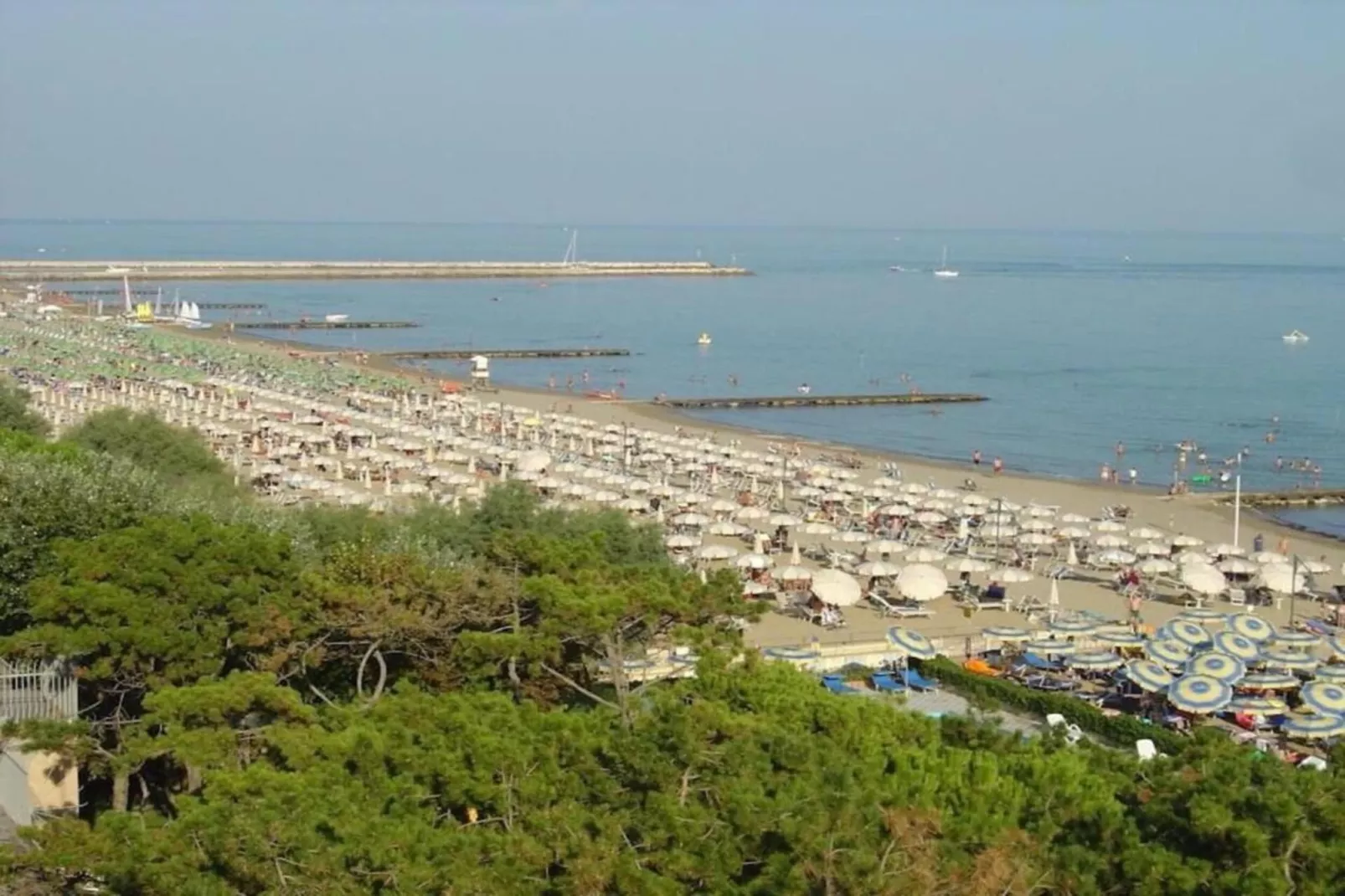 Tamerici A/38-Gebieden zomer 1km