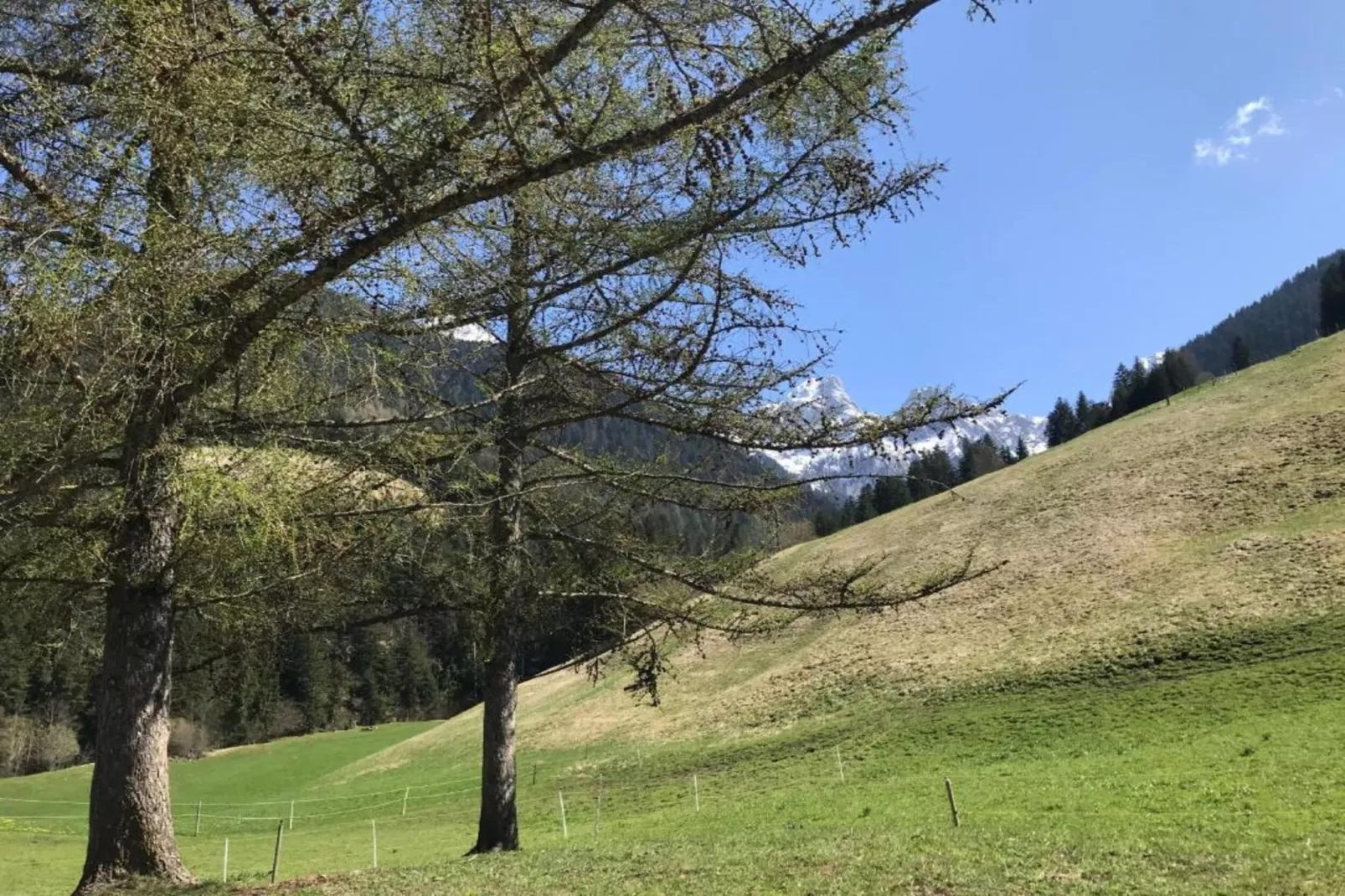 Divine Gstaad Chalet In Pure Elegance-Gebieden zomer 20km
