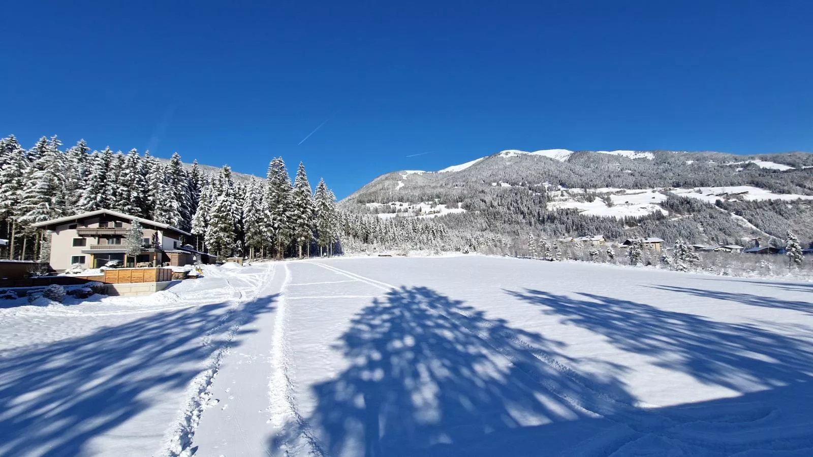 Moser-Gebied winter 1km