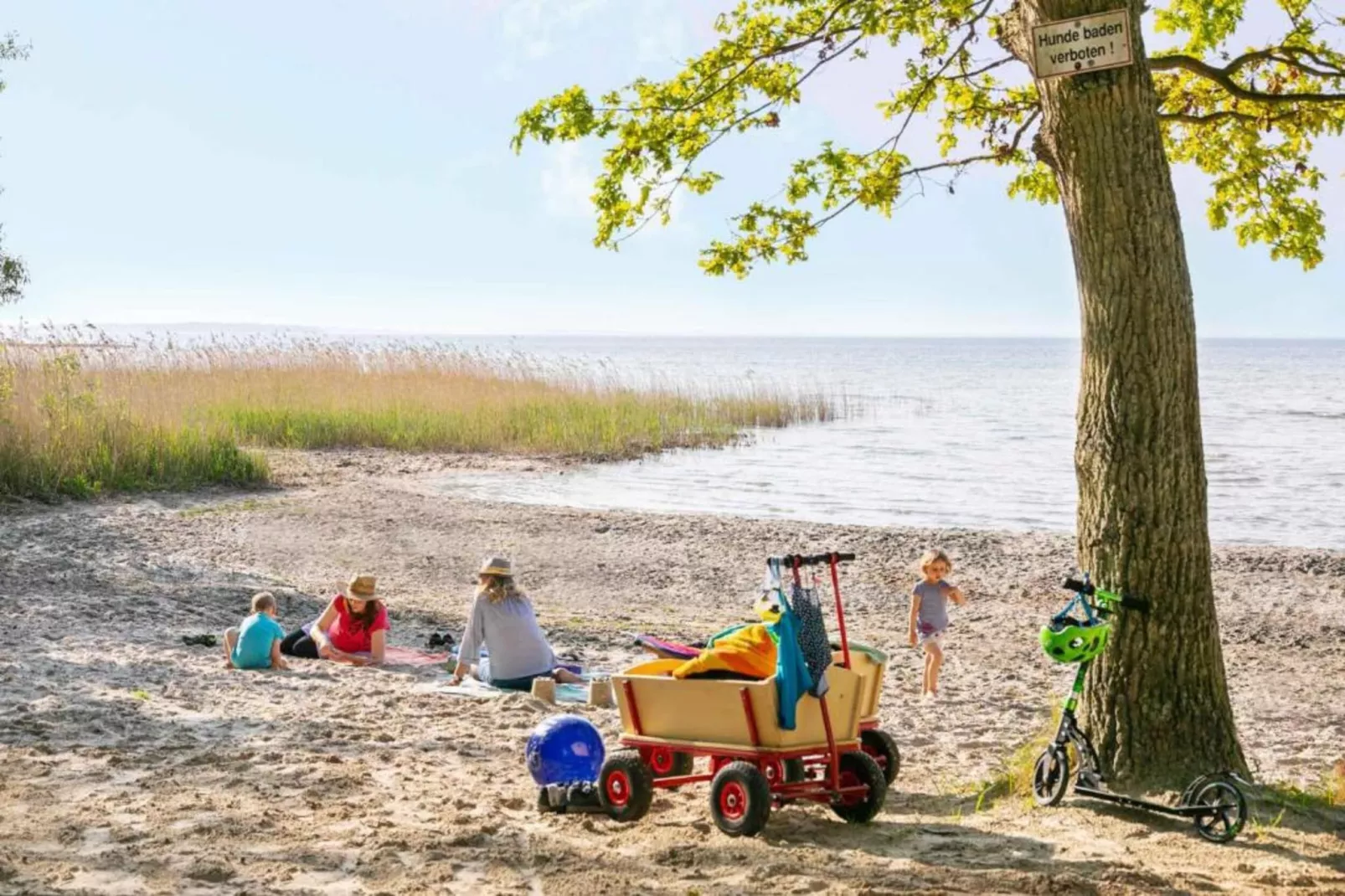 Hafenapartment 623-Gebieden zomer 20km