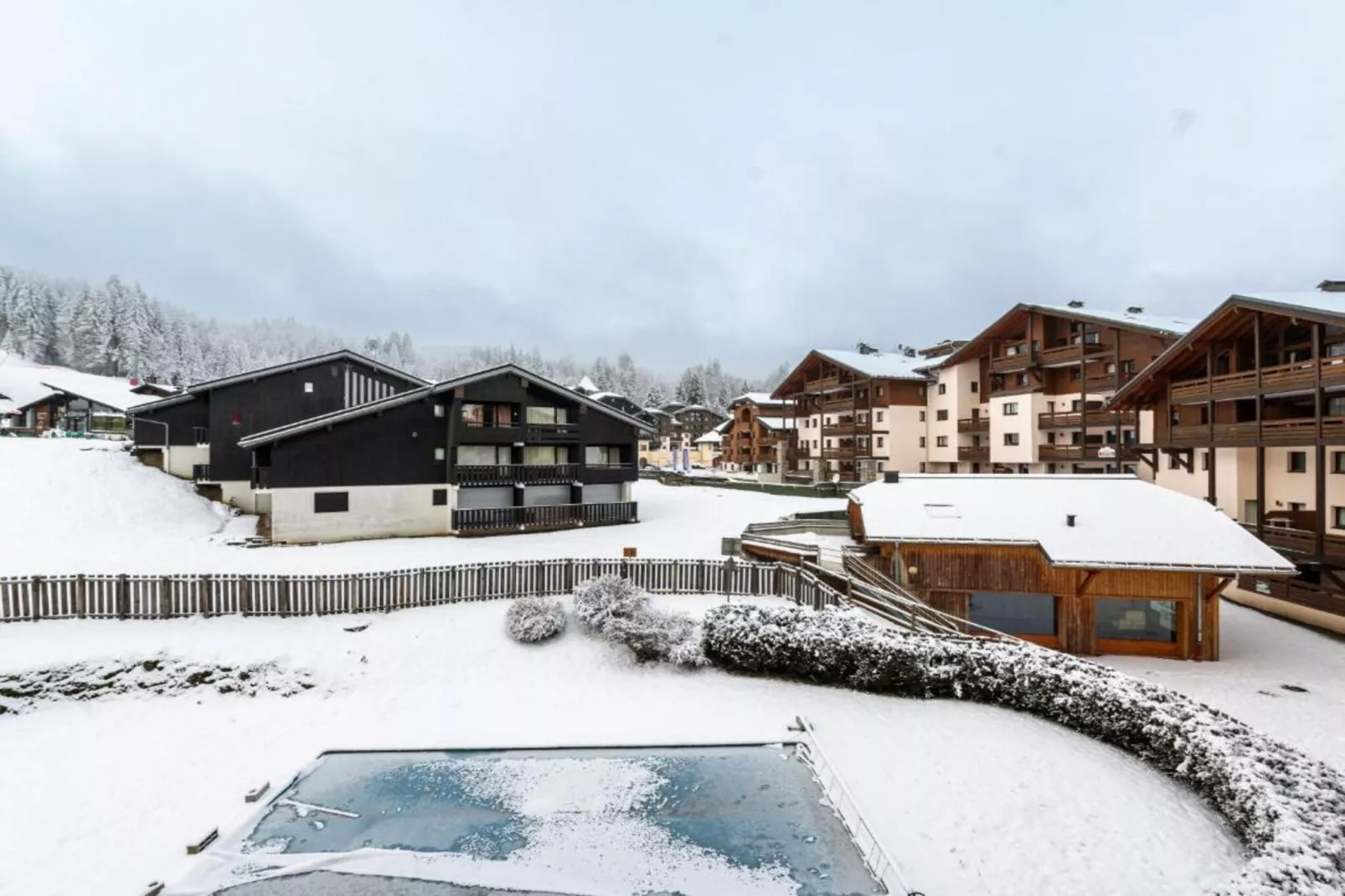 EDEN N°201 - 3P6-Gebied winter 1km