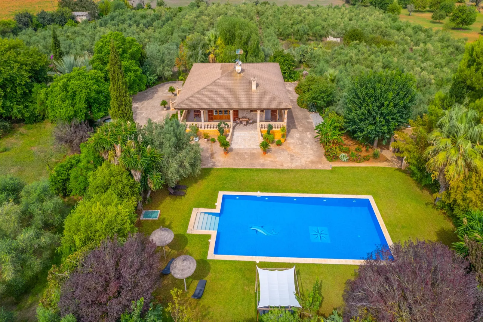 Dofi Blau, Villa 5StarsHome Mallorca-Zwembad