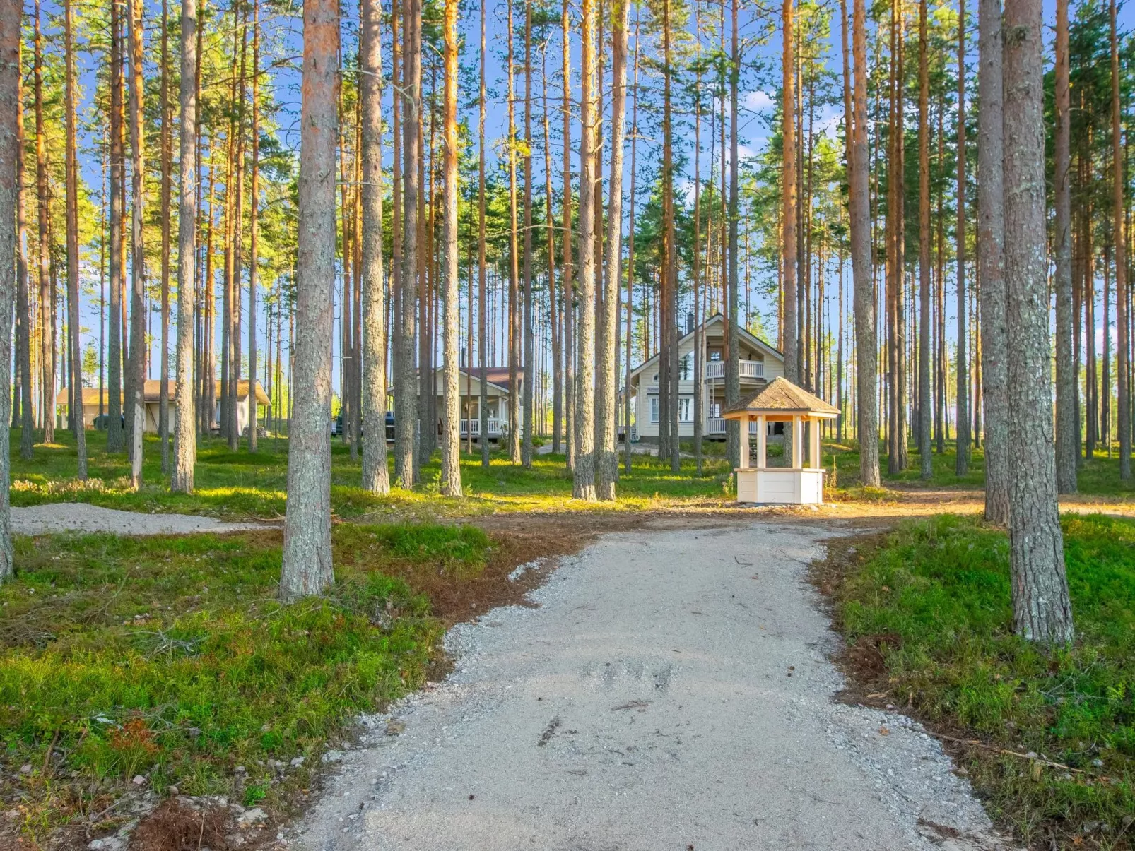 Mäntylahti-Buiten