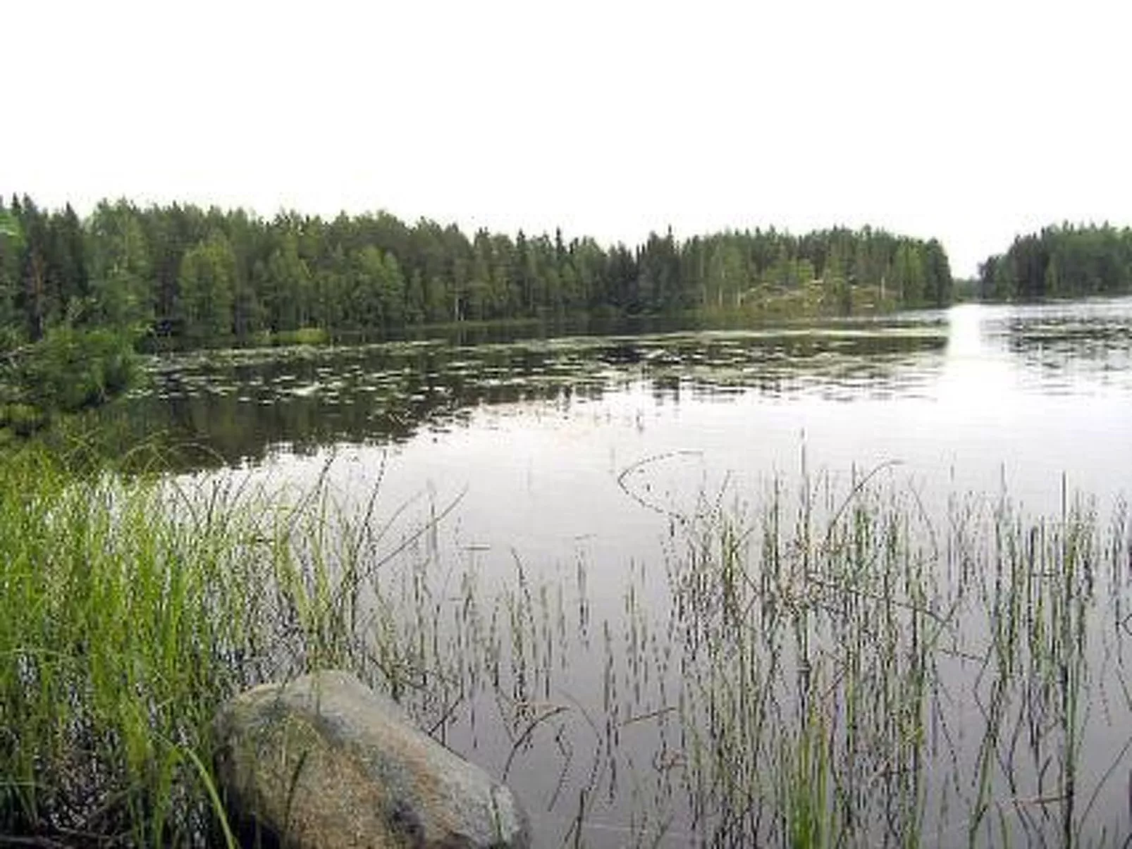 Kärkelä-Buiten