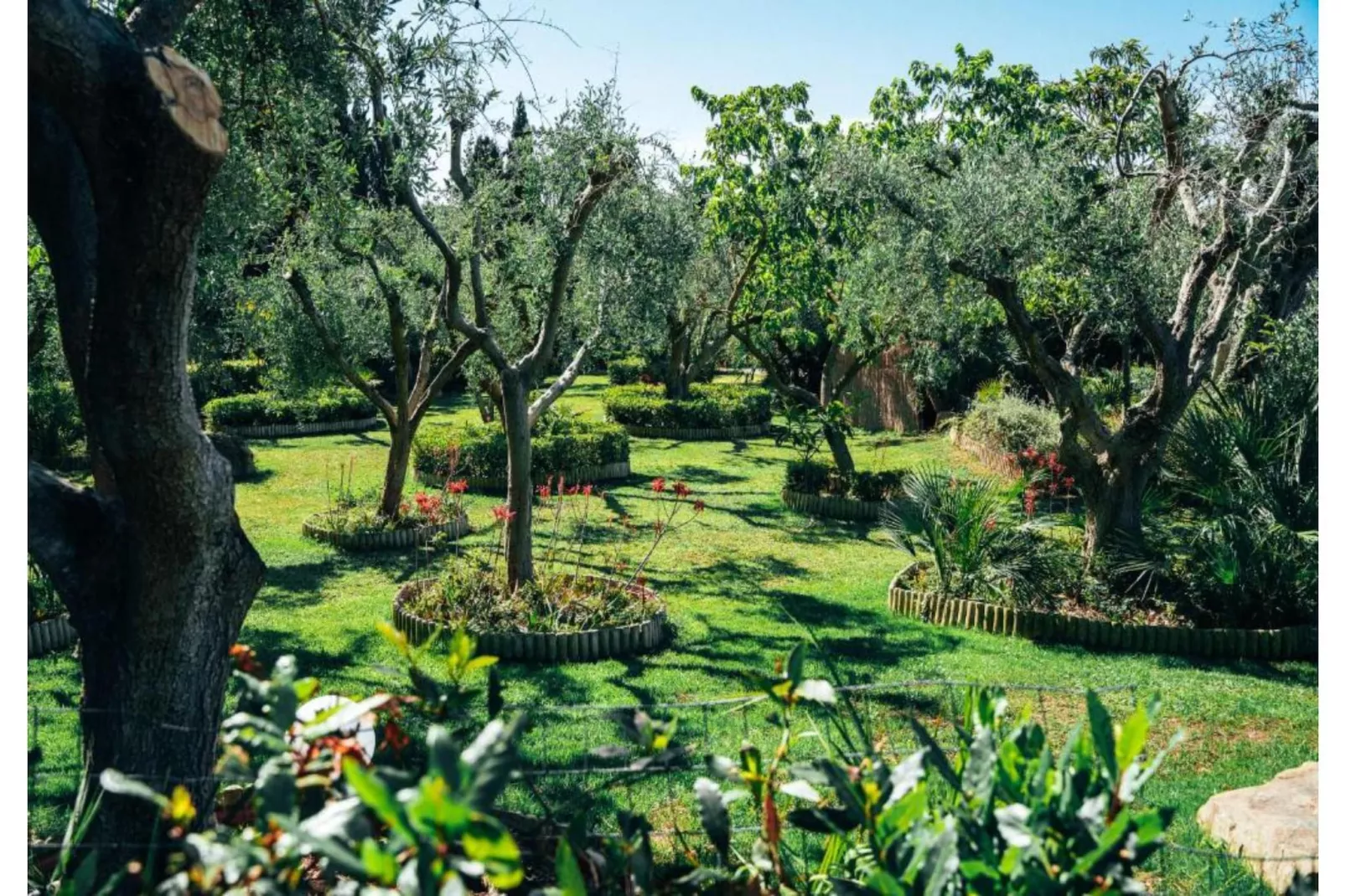 Residence Park Solemaremma 2-Zi-App Classic A BK/TE 30 qm-Tuinen zomer