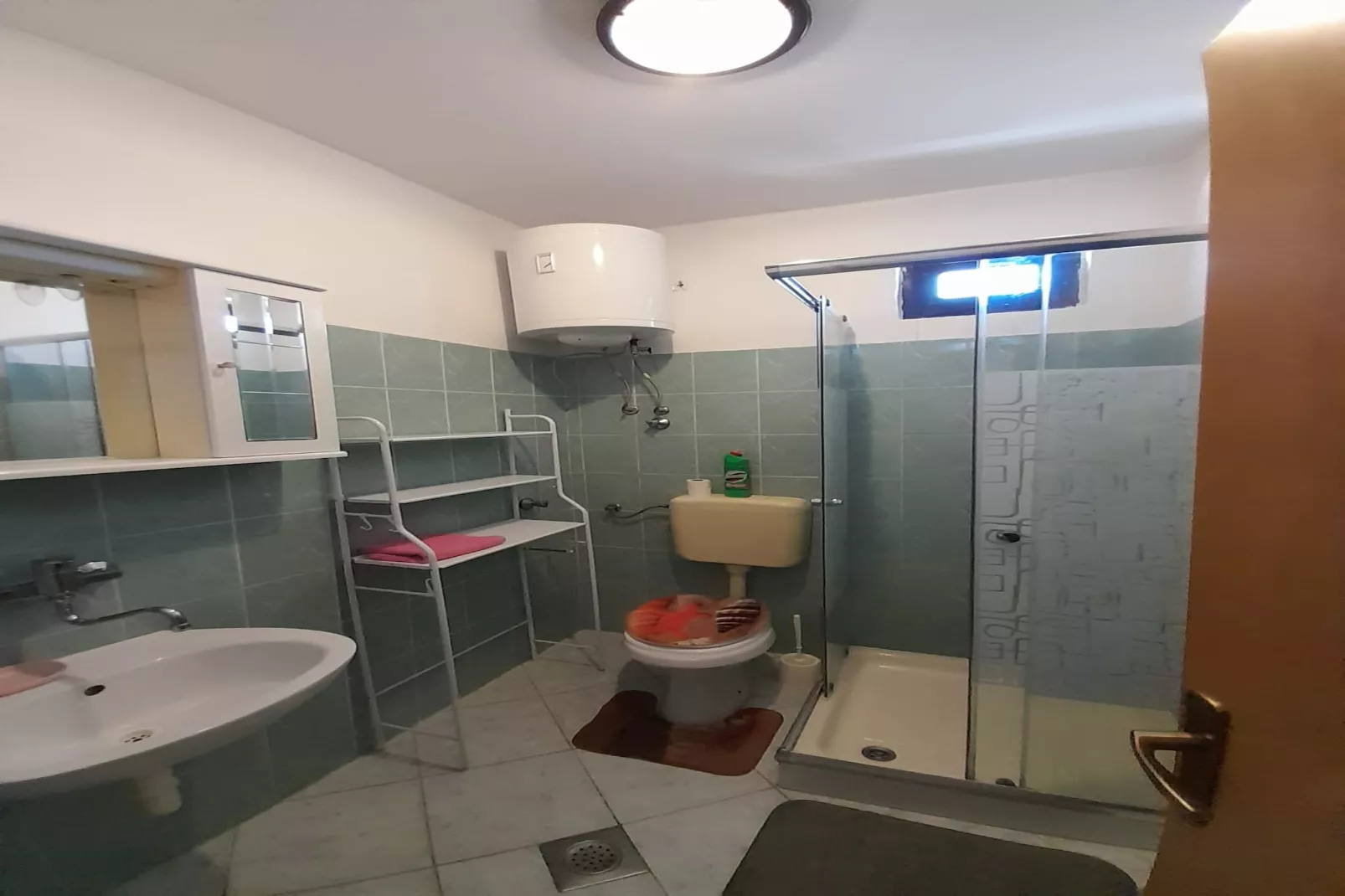Apartments Dubravica - studio apartment-Badkamer