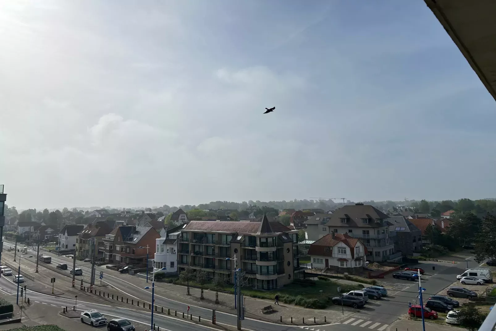 De Zouaaf 0502-Gebieden zomer 1km