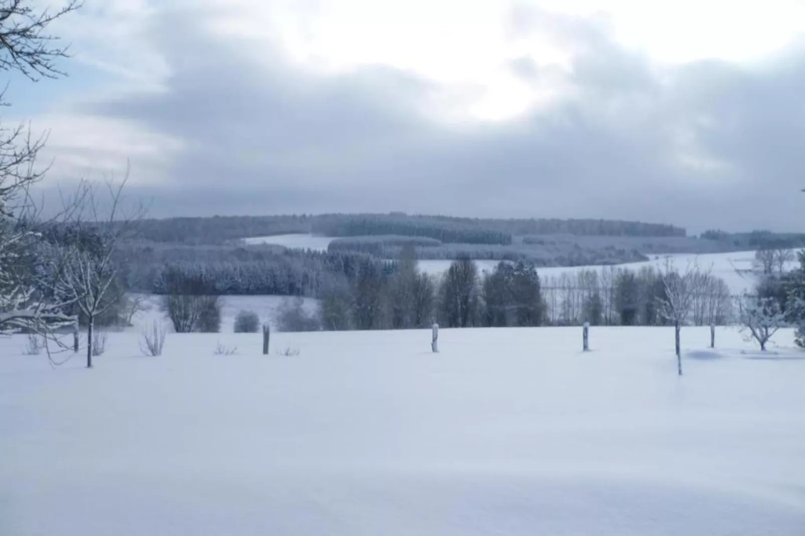 Goudhaantje-Gebied winter 20km