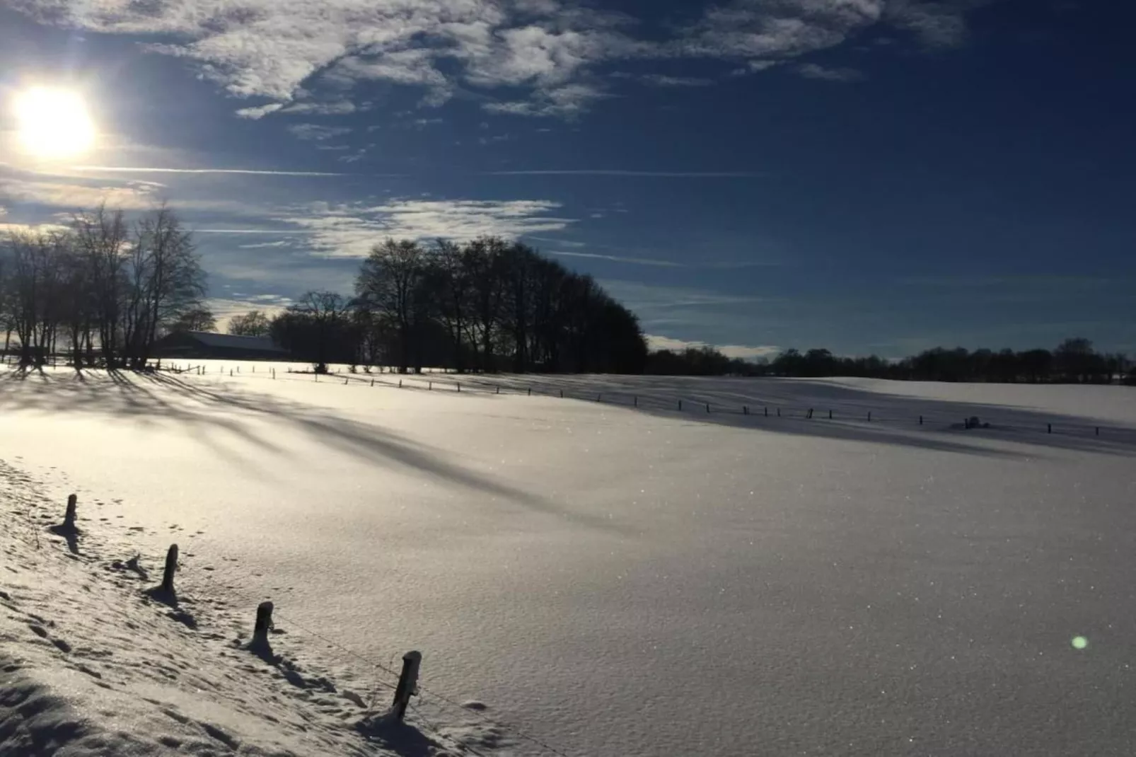 Wood Dream-Gebied winter 20km