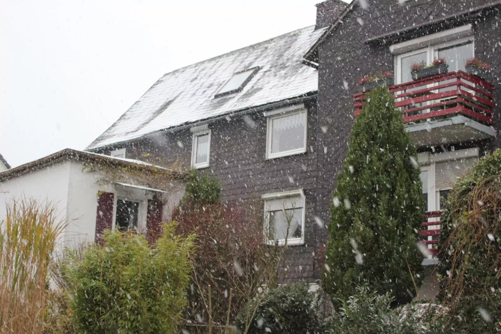Remise-Exterieur winter