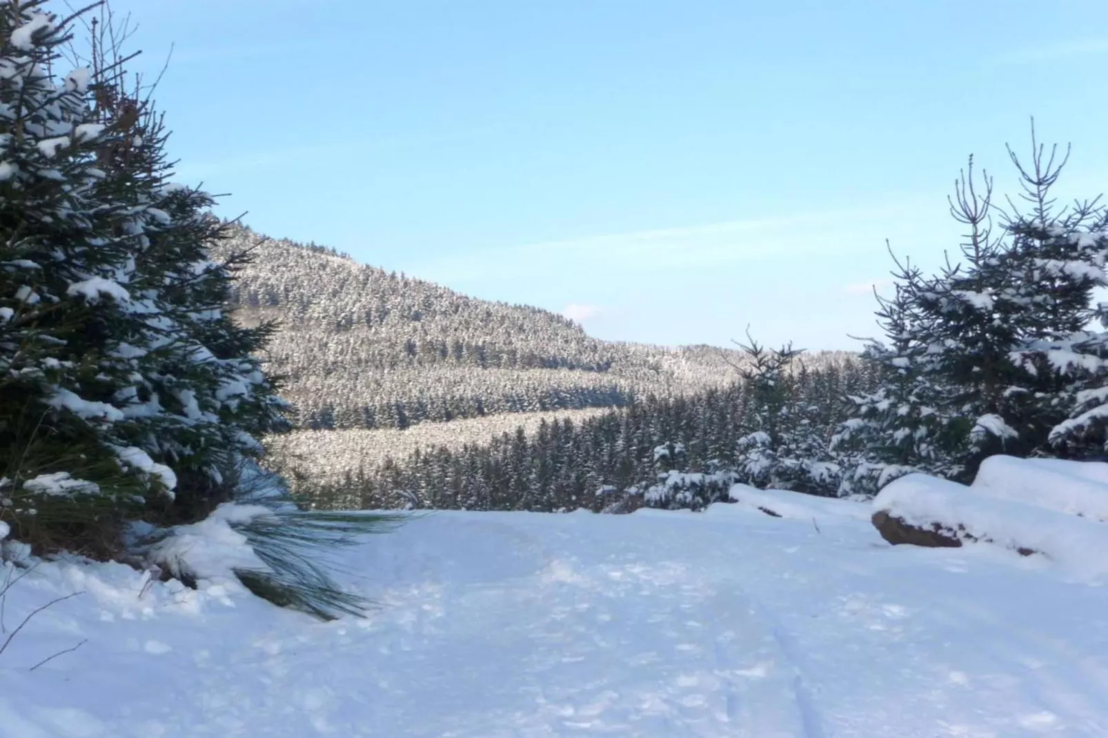 Eslohe-Gebied winter 20km