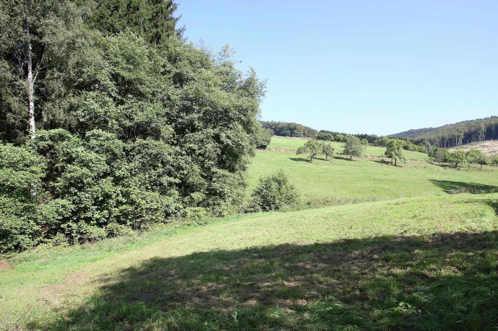 Wieselbau-Uitzicht zomer