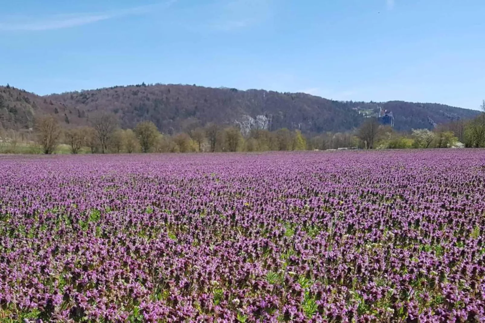 Im Altmühltal-Gebieden zomer 20km