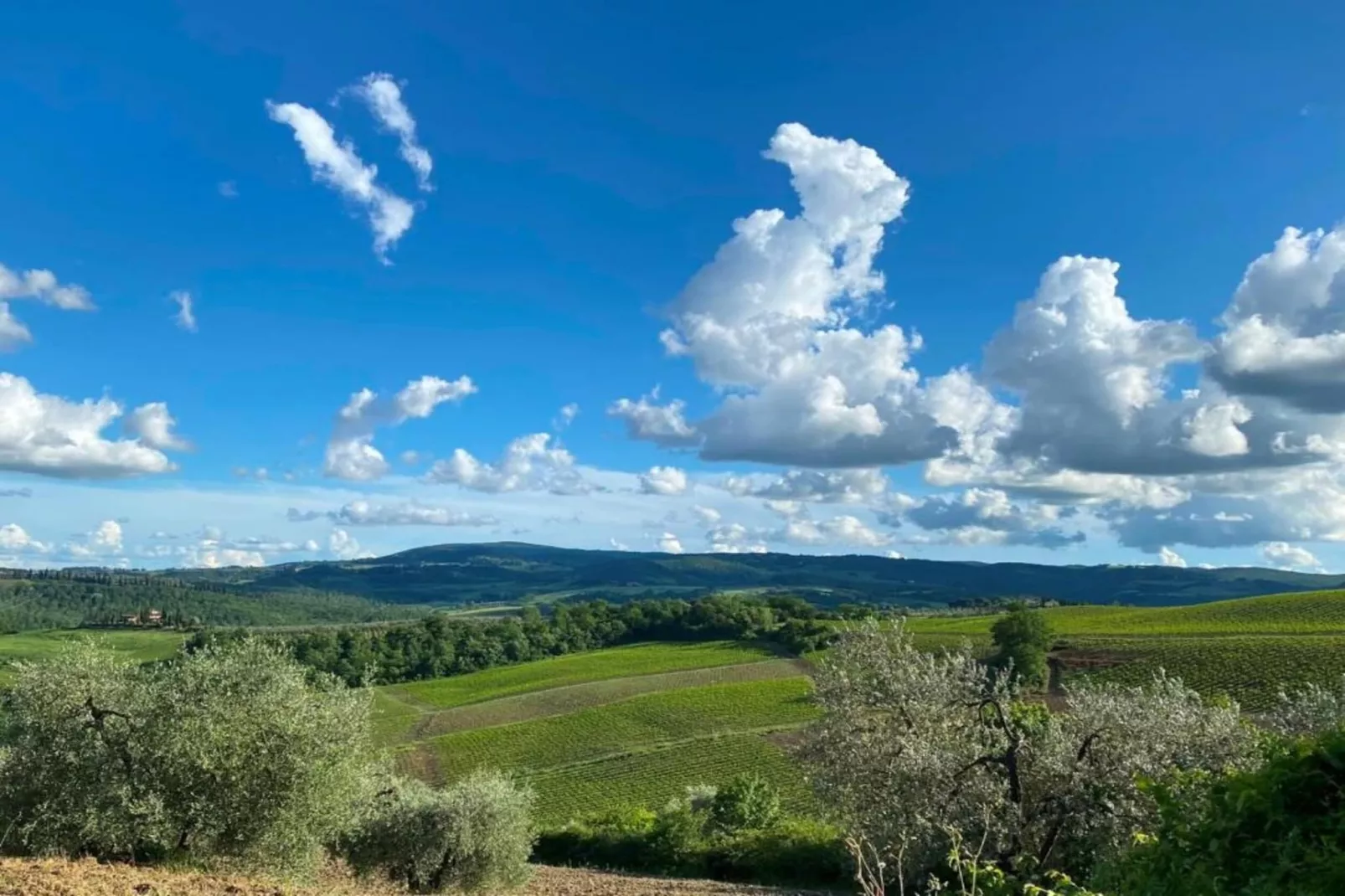 Il Poggiale-apt 9-Gebieden zomer 20km