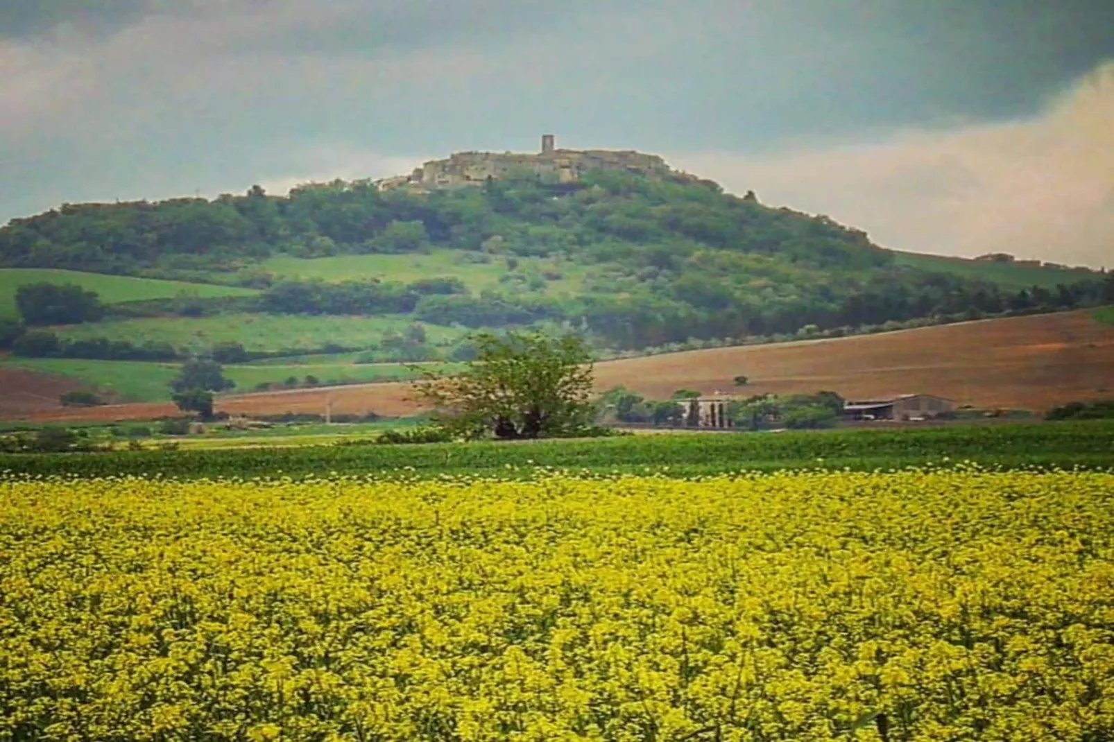 Villino Quattro-Gebieden zomer 20km