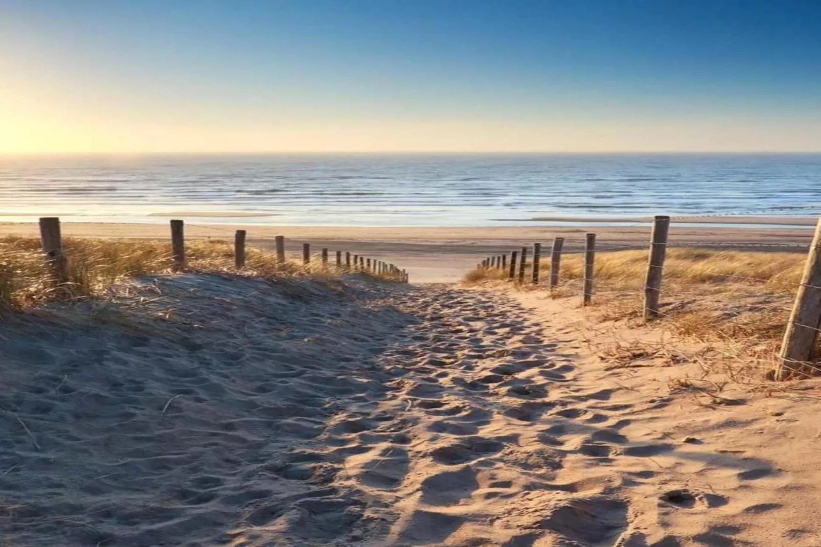 Fort den Haak - Chalet 1 t/m 10 huisdiervrij-Gebieden zomer 5km