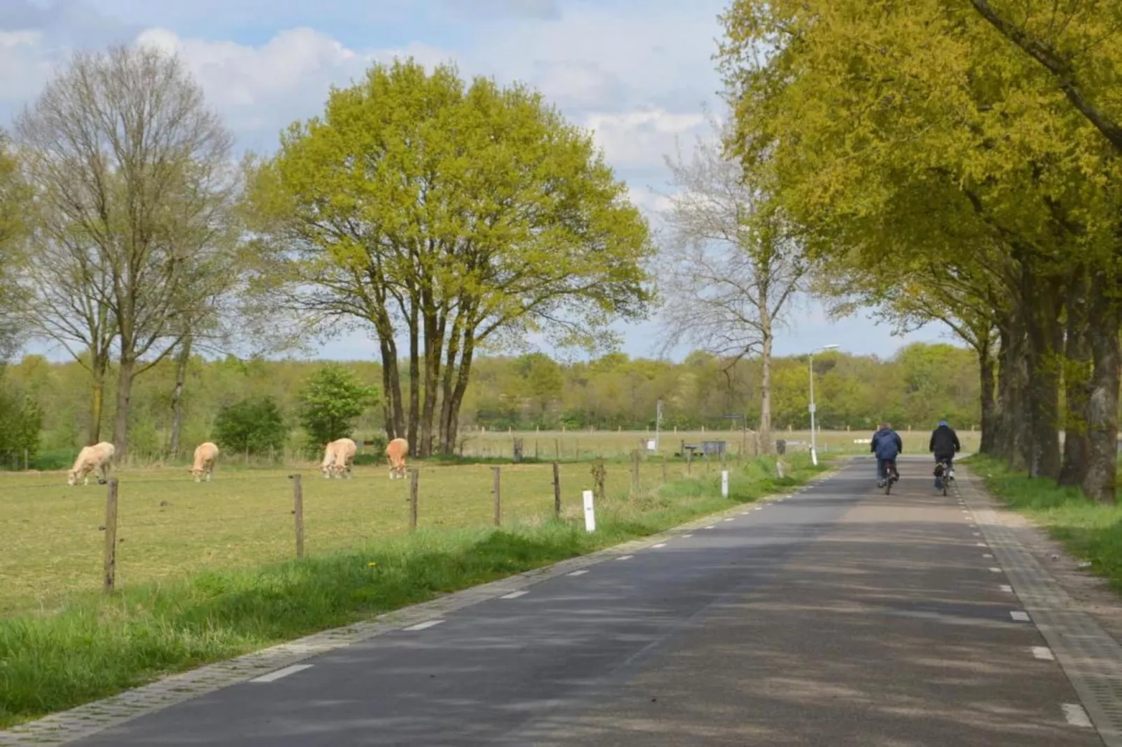 Vosseven 17 Wezel-Gebieden zomer 20km