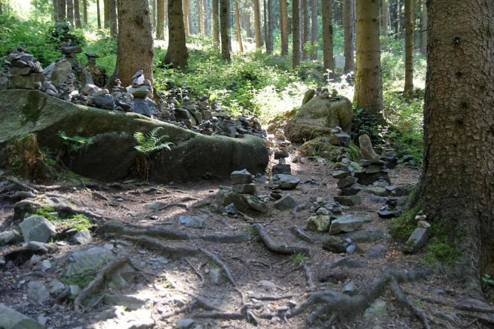 Chalet am Bergflüsschen-Gebieden zomer 20km