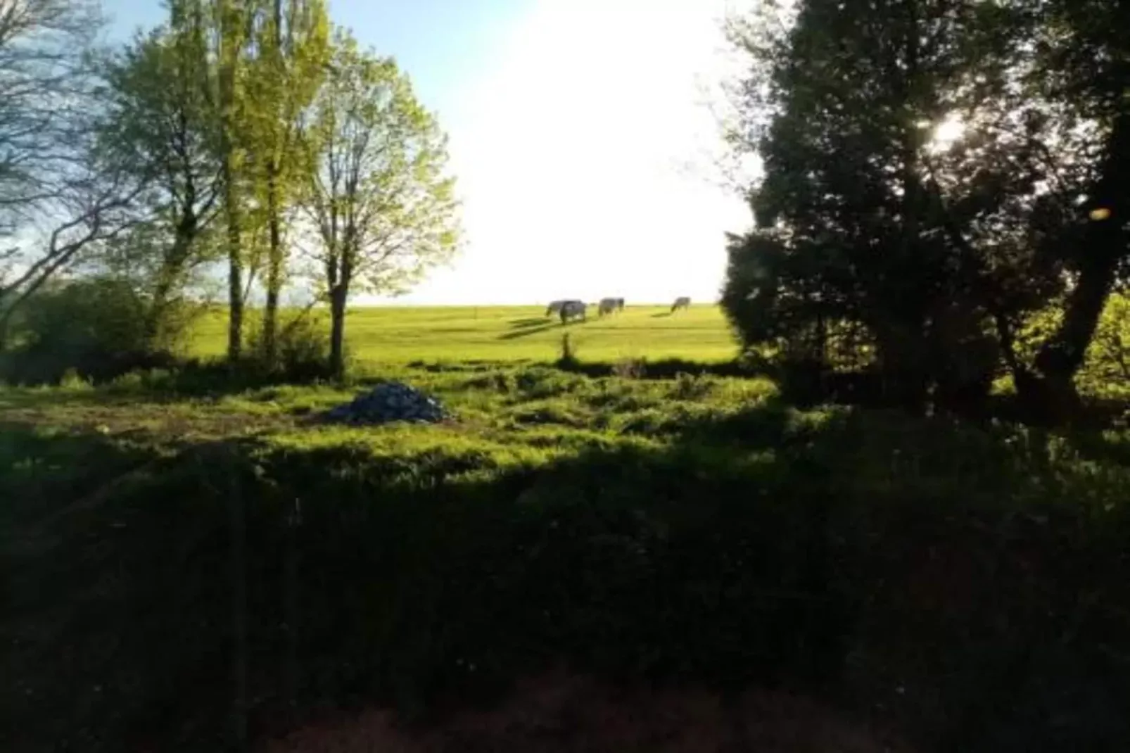 Be Durbuy-Gebieden zomer 20km