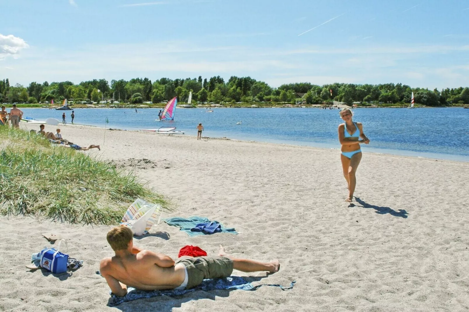 397163-Gebieden zomer 5km