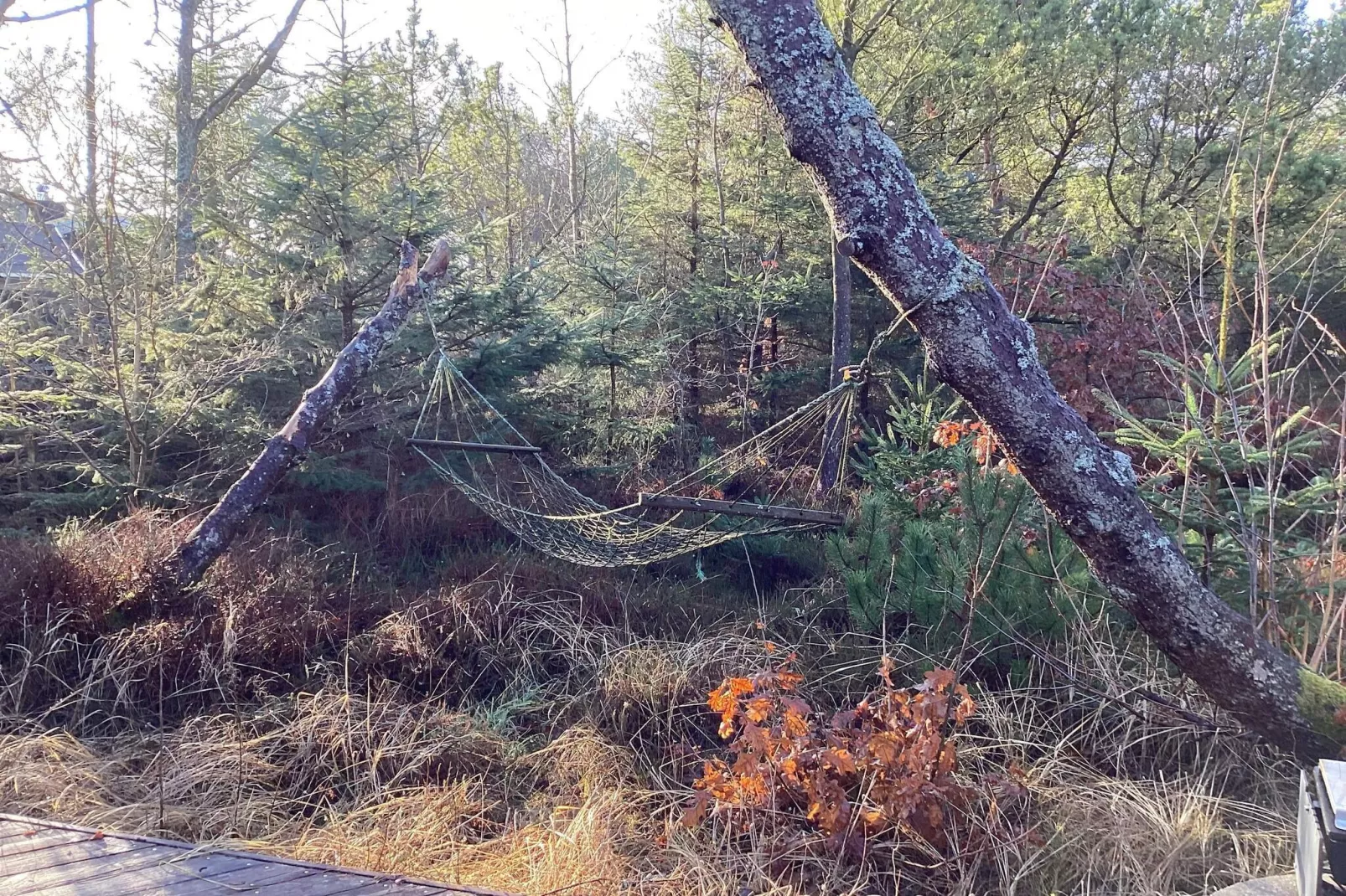4 sterren vakantie huis in Ålbæk-Buitenlucht