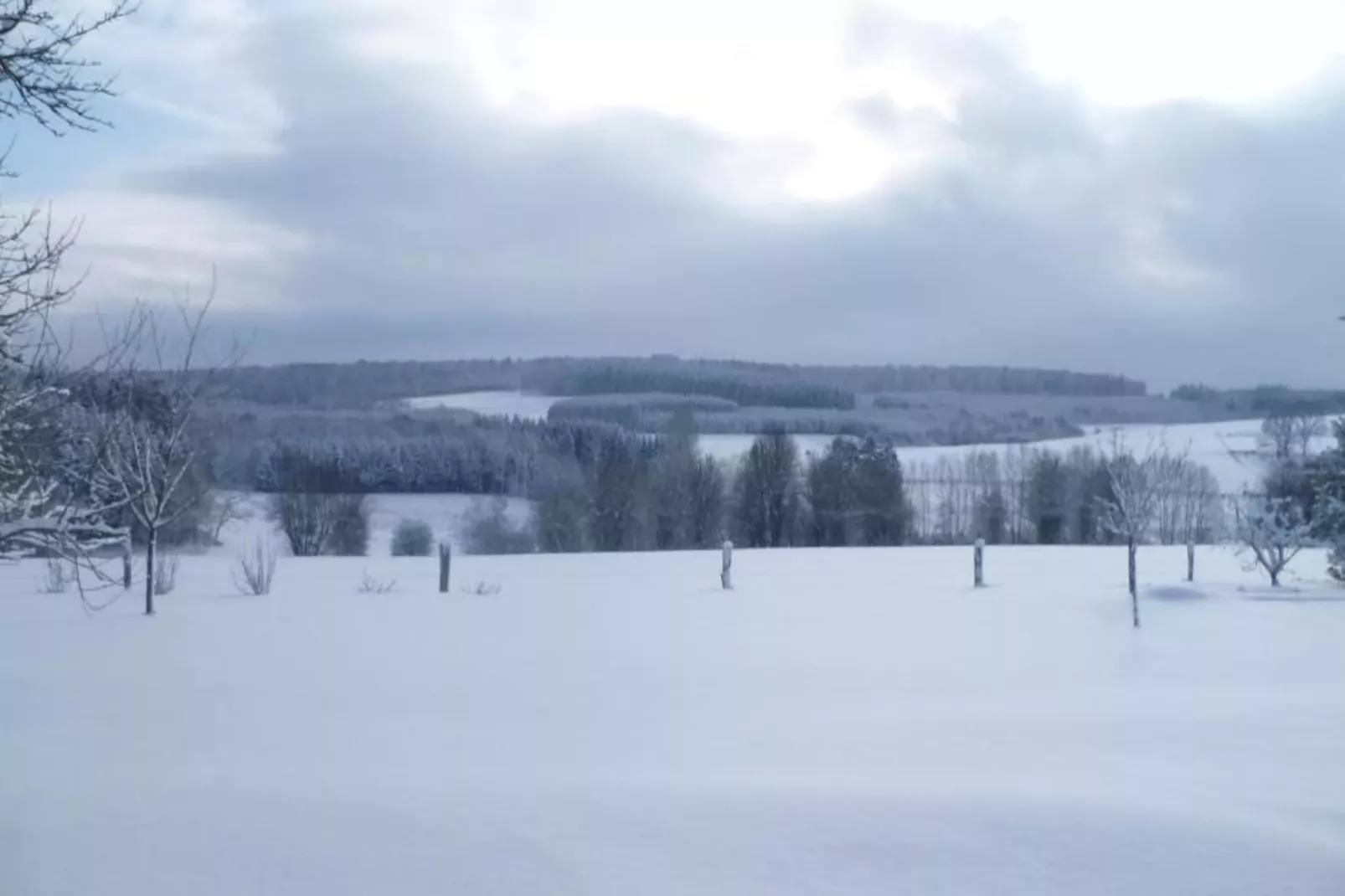 Koolmees-Gebied winter 20km