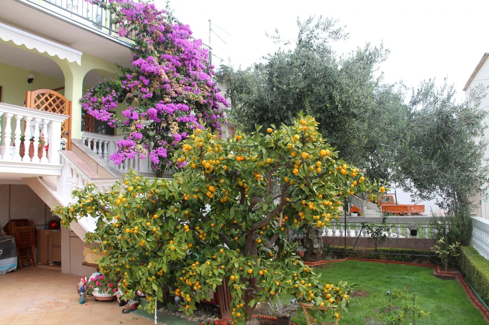 Apartments Gojevic - two bedroom apartment A2-Tuinen zomer