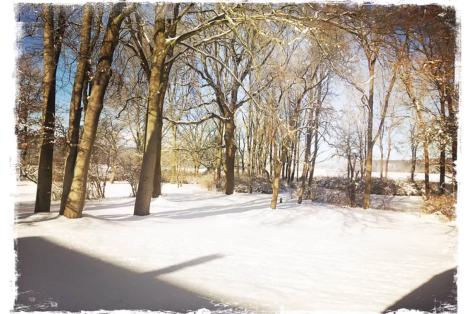 Landlust pur 1-Tuin winter