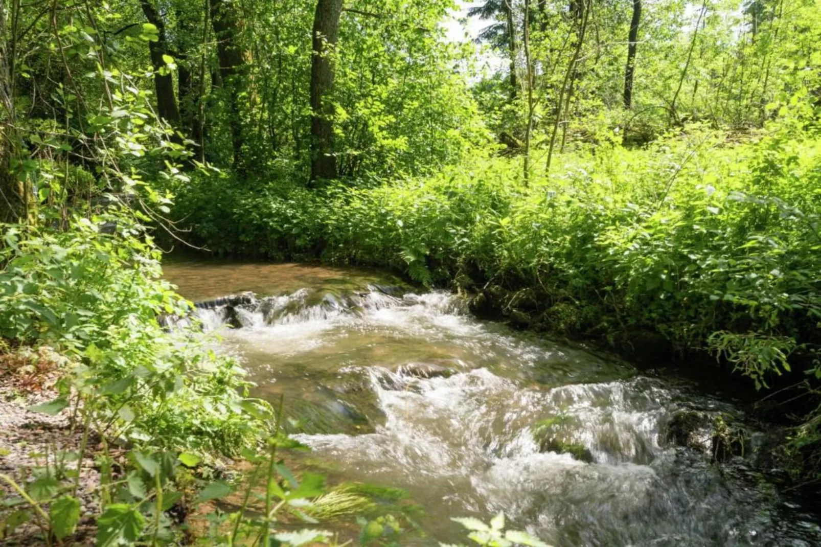Willingen-Gebieden zomer 20km
