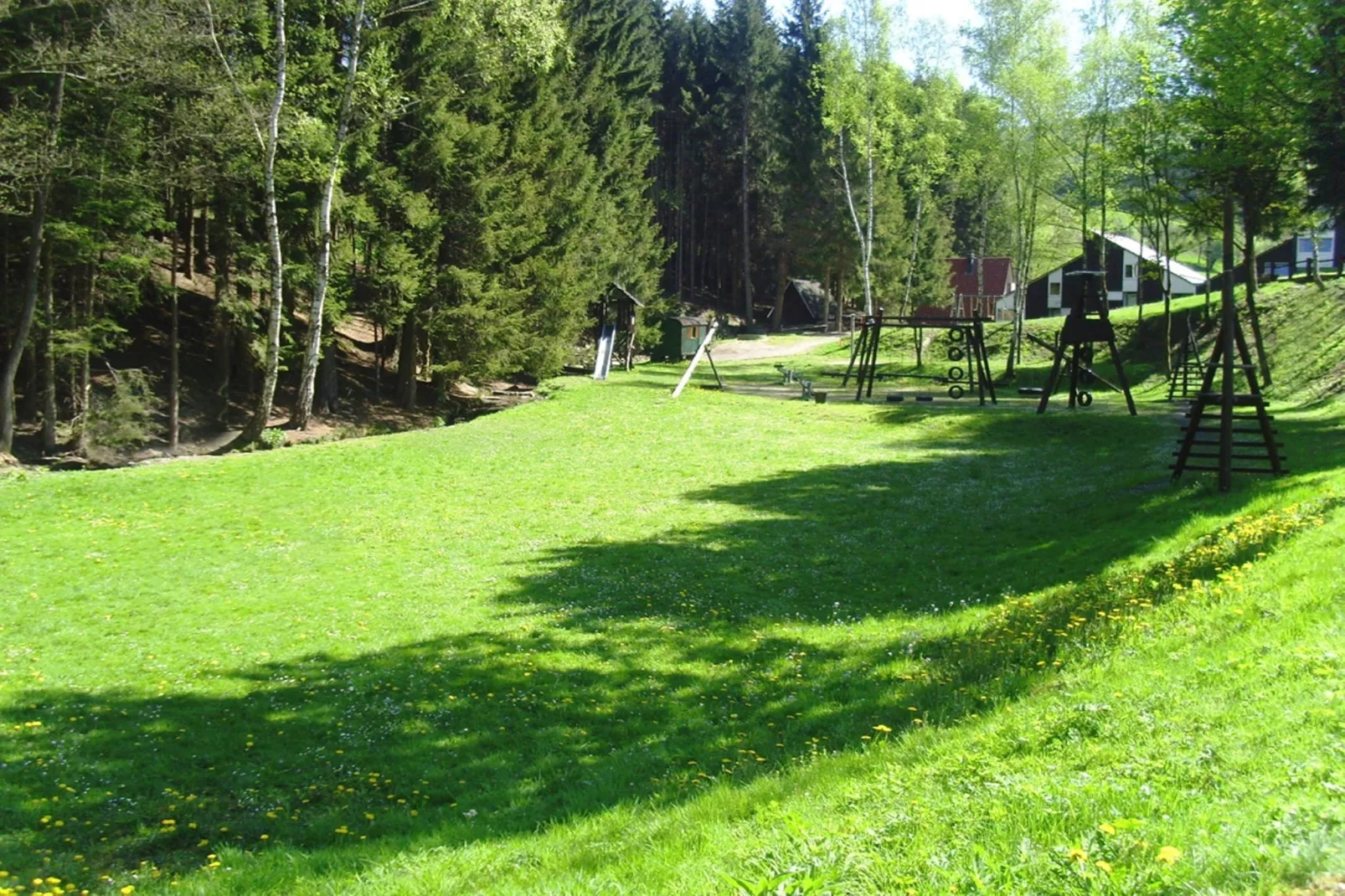 Murmeltier-Gebieden zomer 1km