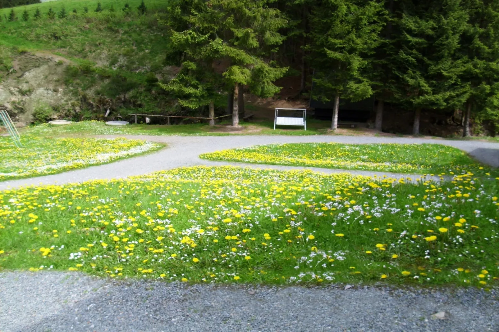 Wieselbau-Gebieden zomer 20km