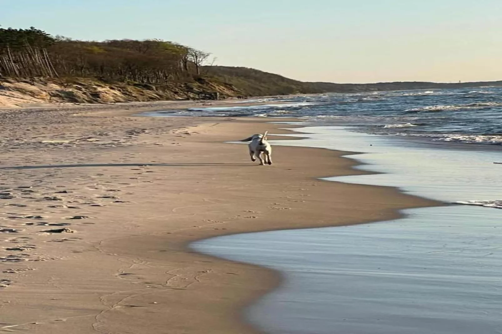 Sunny bungalow by the sea-Gebieden zomer 1km