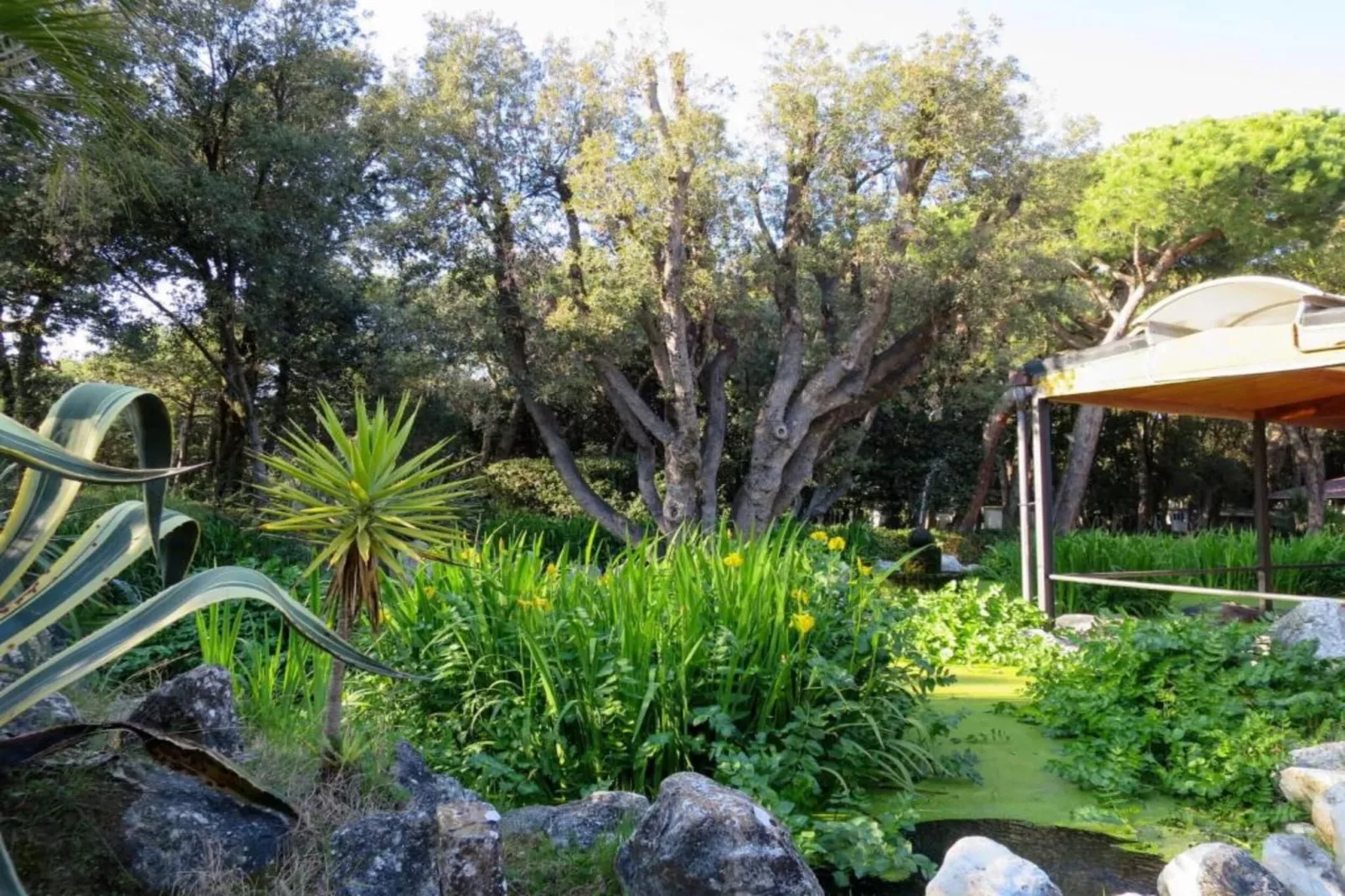 Baia Domizia Villaggio Camping E5-Sfeer