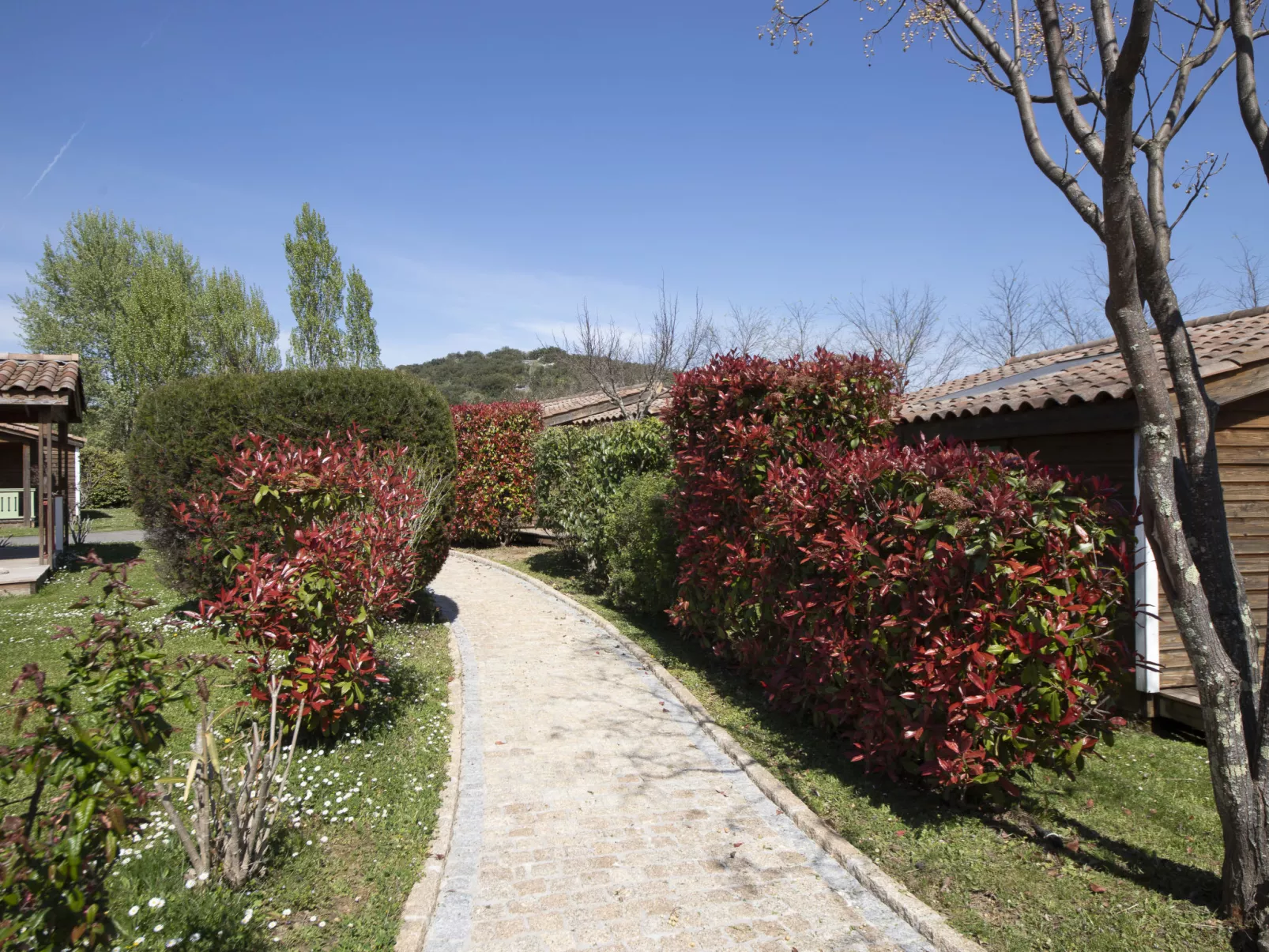 Domaine de Sévenier-Buiten