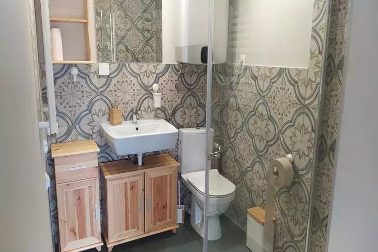 Dom wakacyjny dla 6 osób Sieciemin-Badkamer