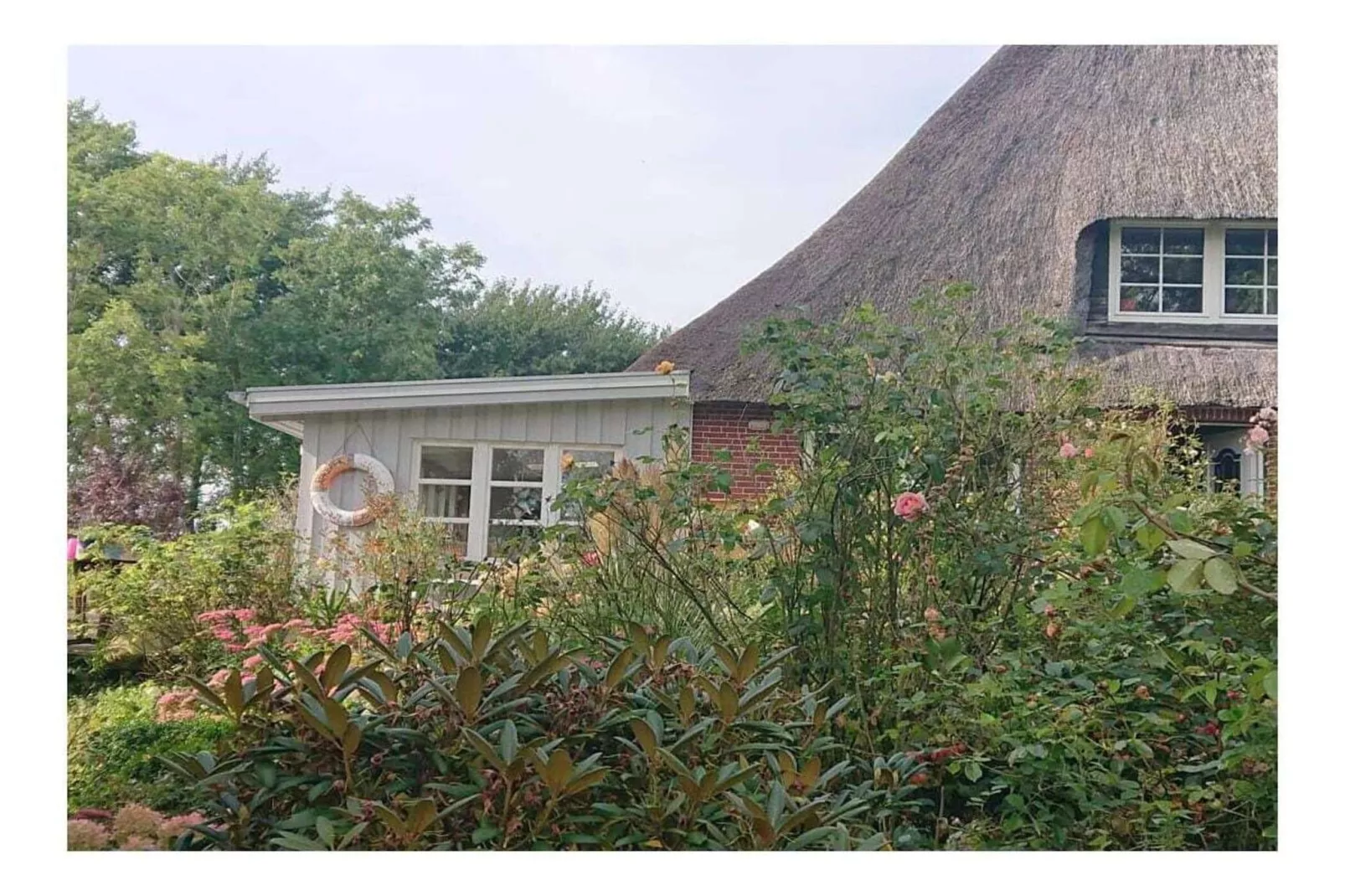 66769-Buitenkant zomer