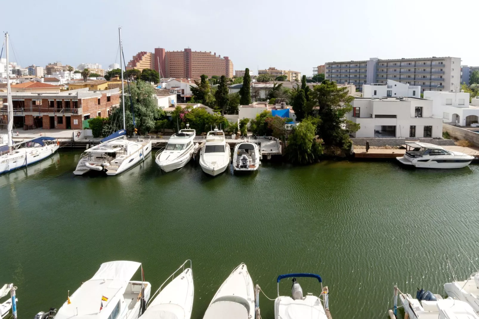 1216 THALASSA Estudio-Gebieden zomer 1km