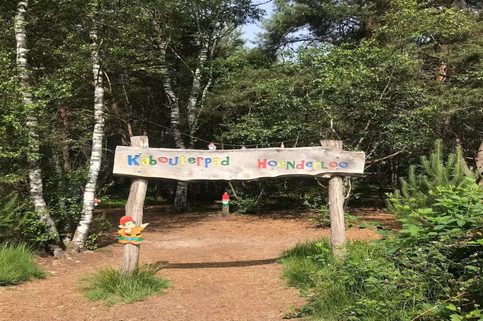 Chalet Meerkoet-Gebieden zomer 1km