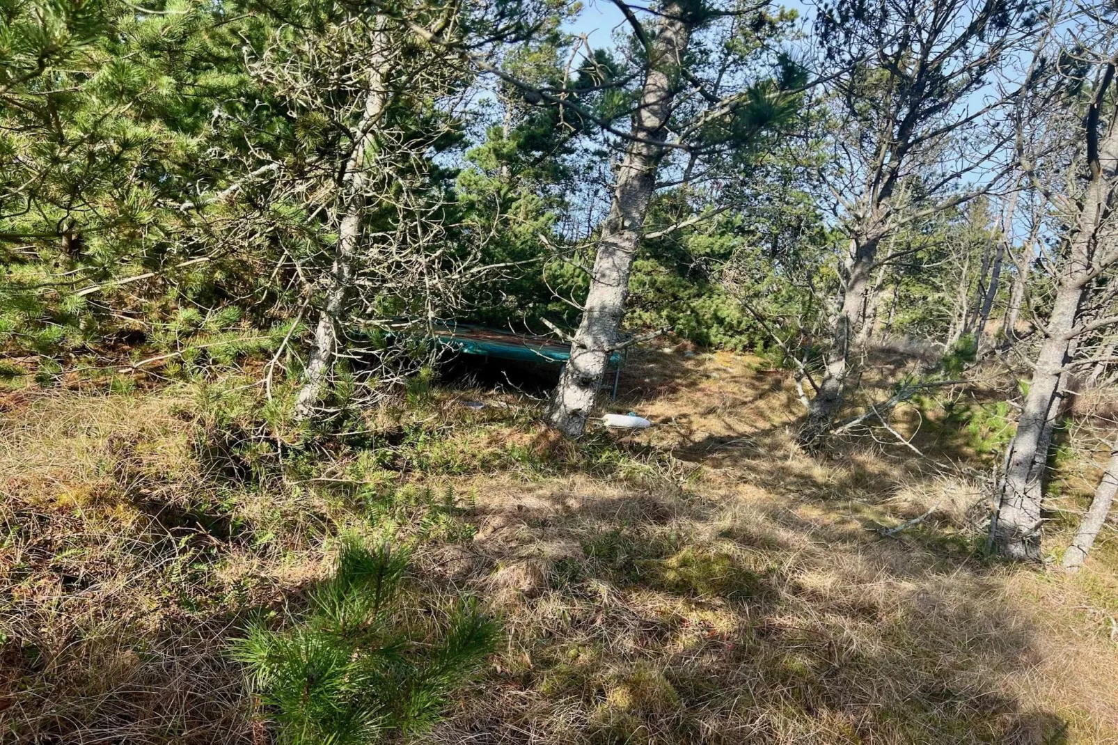 5 sterren vakantie huis in Ålbæk-Niet-getagd
