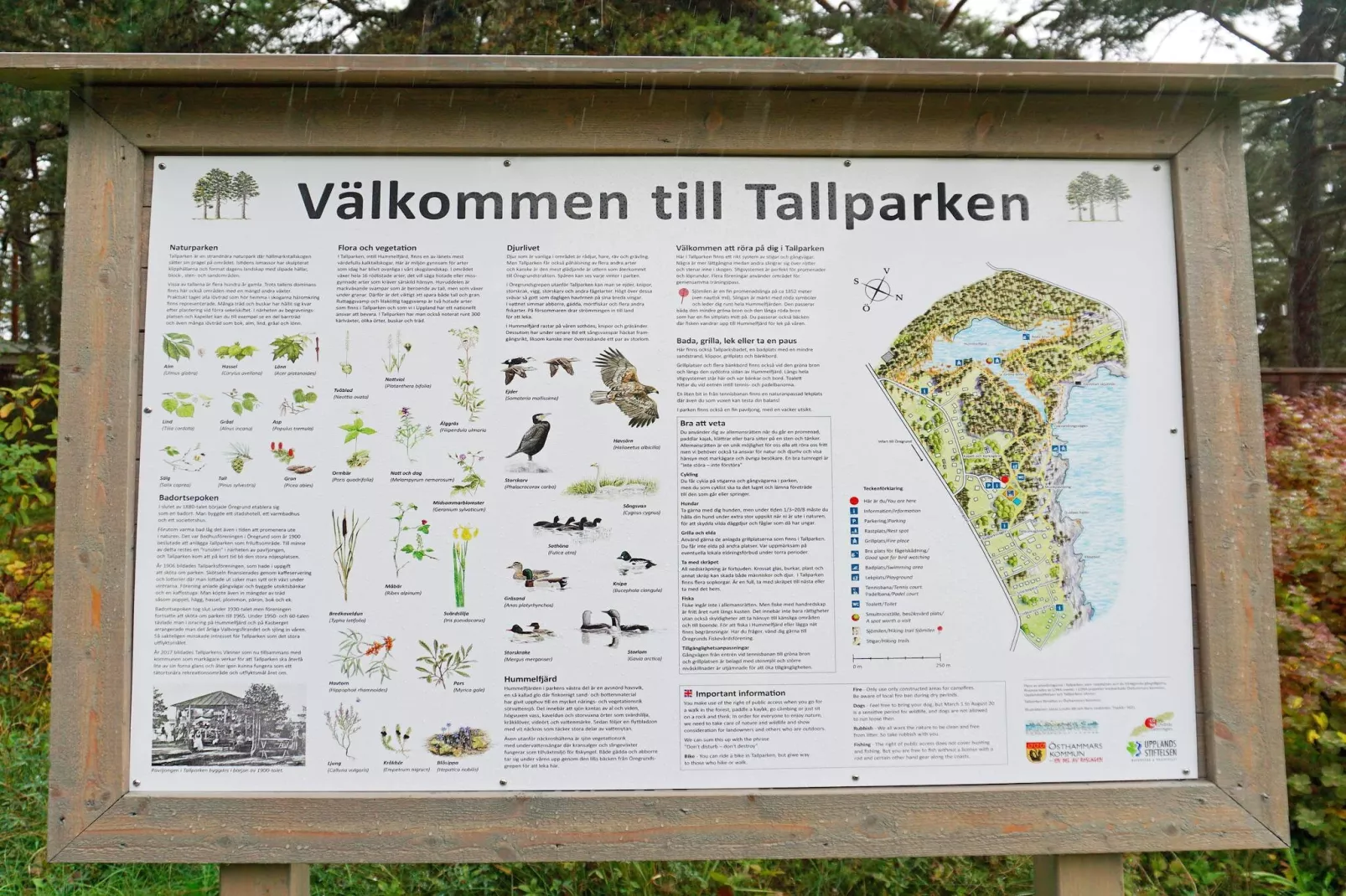 4 persoons vakantie huis in ÖREGRUND-Niet-getagd