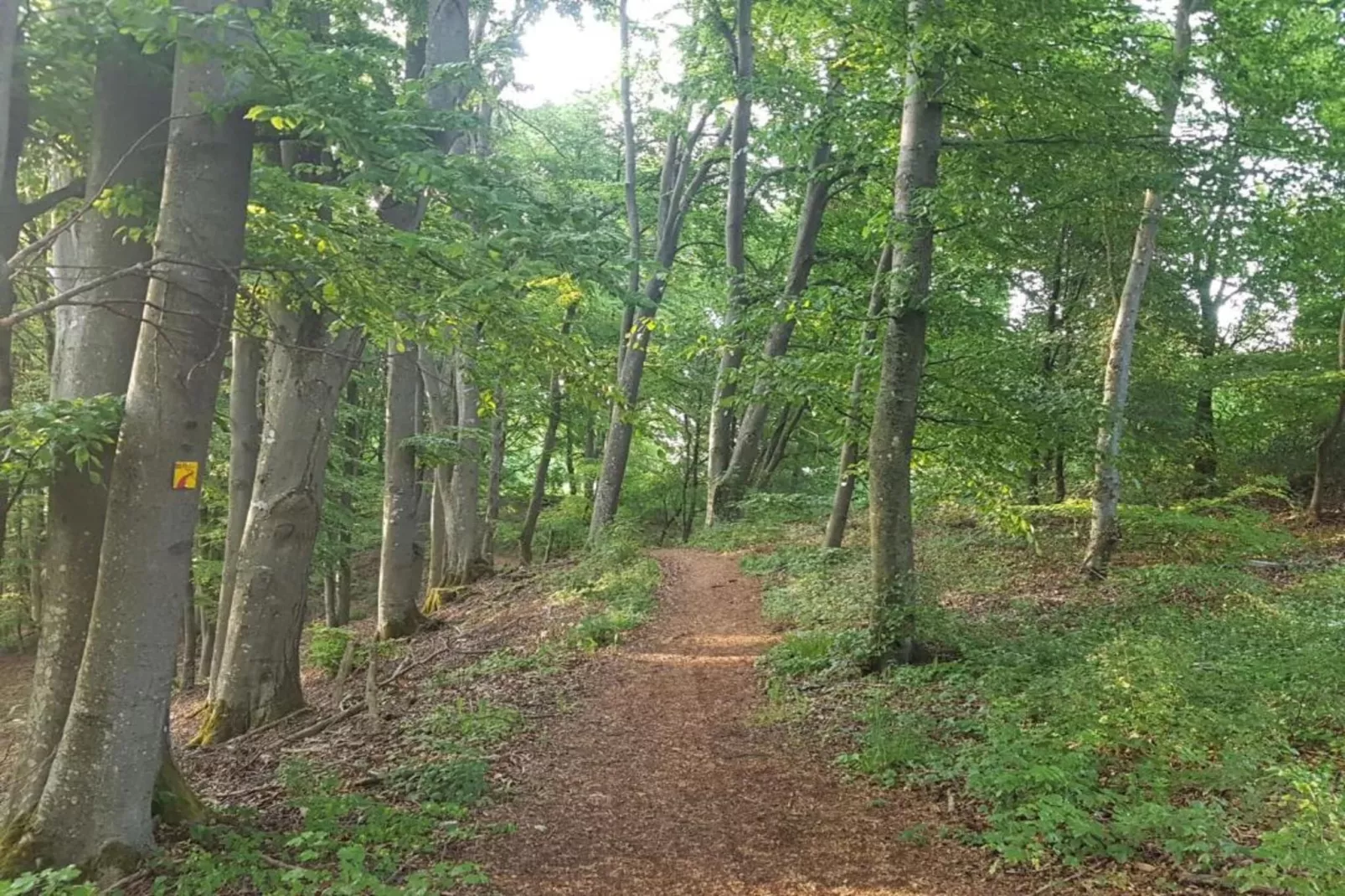 Im Altmühltal-Gebieden zomer 20km