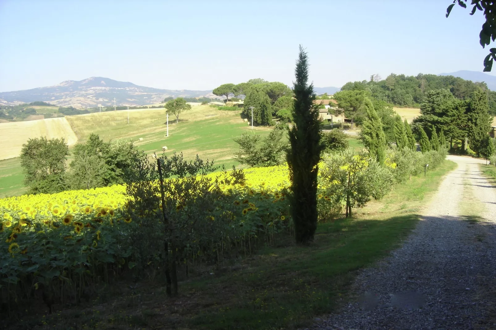 Il Portichetto-Gebieden zomer 1km