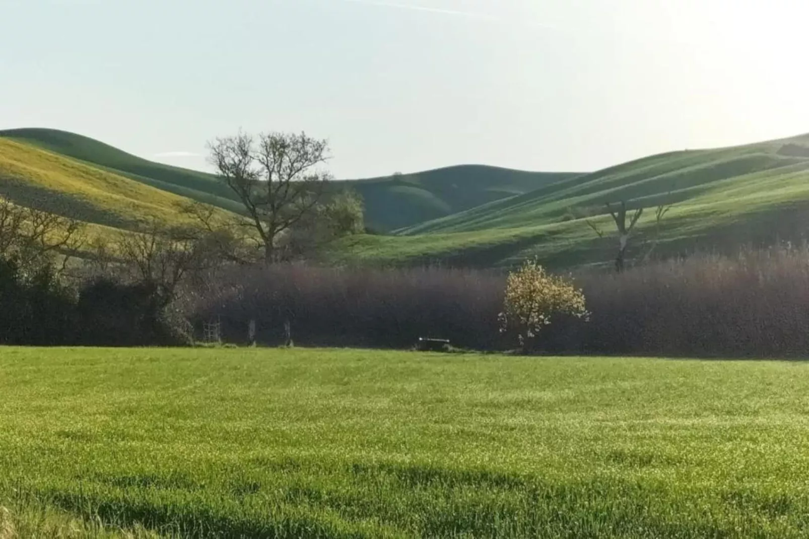 La Casa dei Nonni-Gebieden zomer 20km