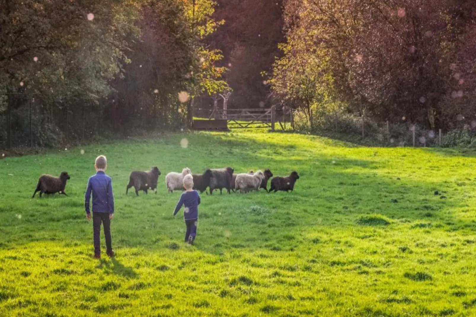 Hoeve in gunne winkel 2-Gebieden zomer 20km