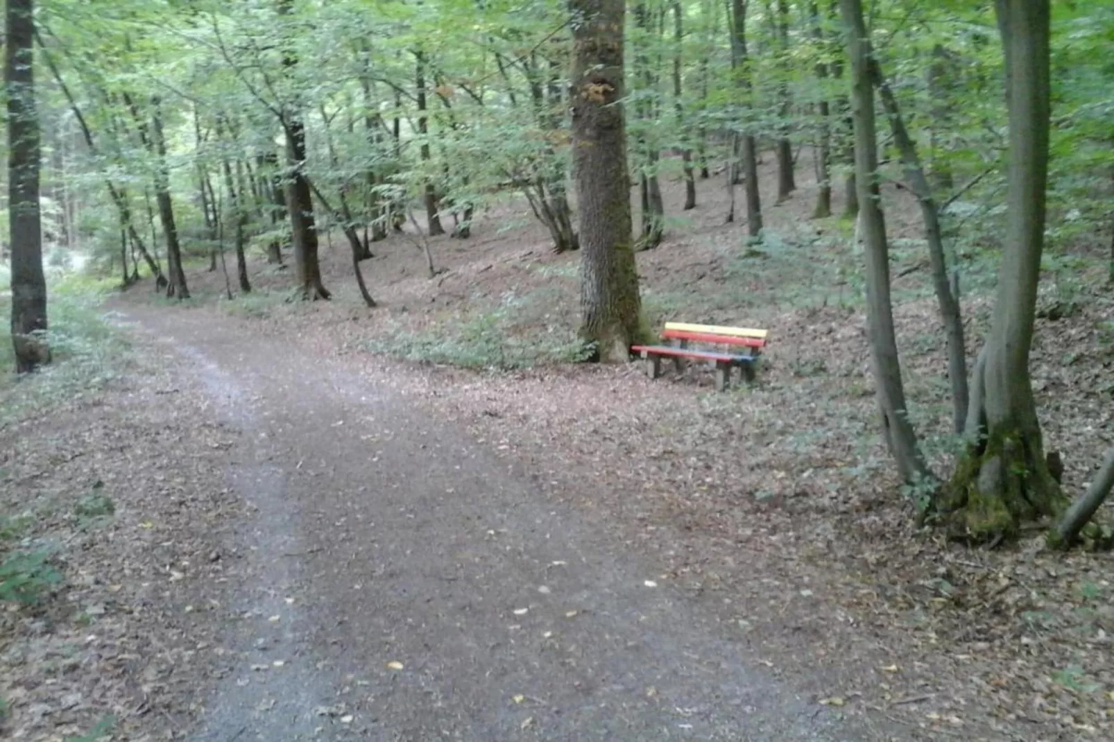 Ferienwohnung Bluzi im Westerwald-Gebieden zomer 20km