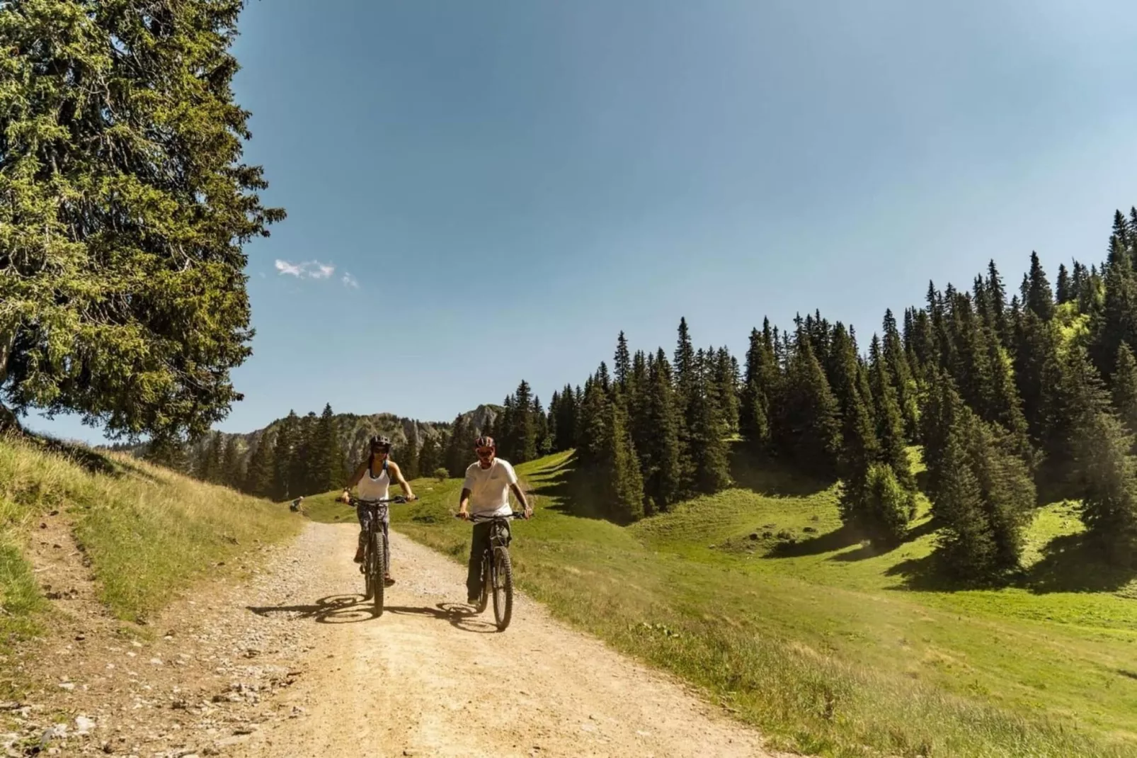 Alpenlake AP120 VIEW & NATURE 5 pers.-Gebieden zomer 1km