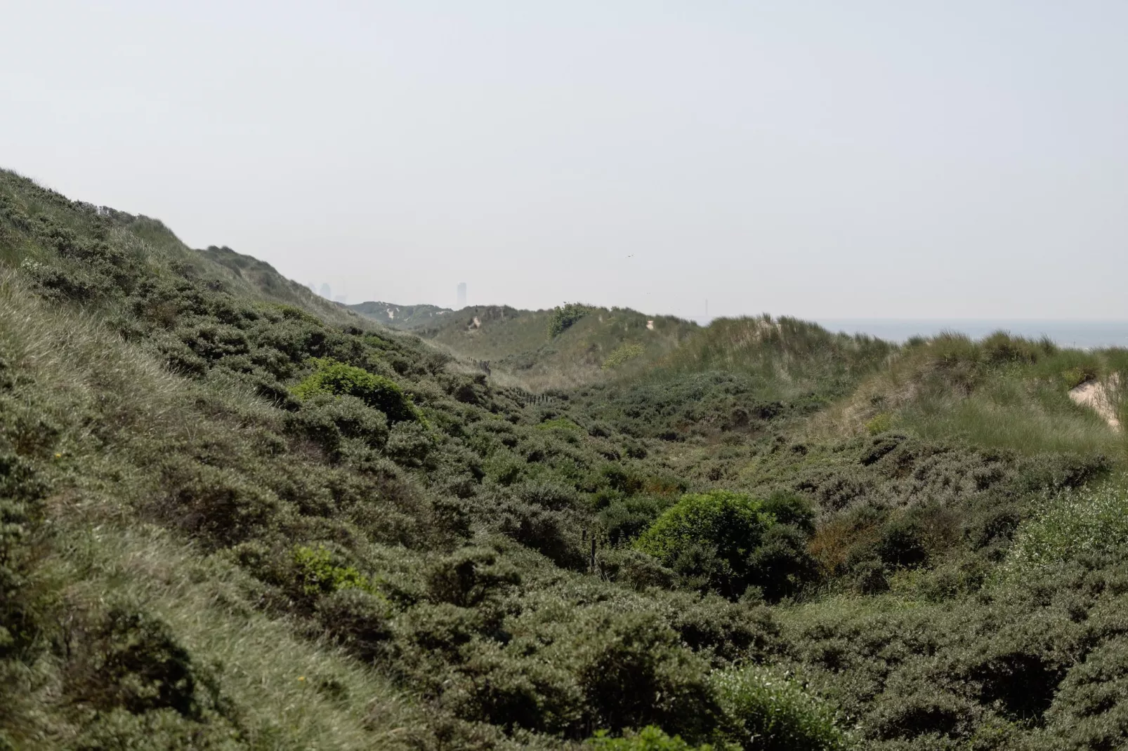 RESIDENTIE UILENSPIEGEL 0601-Gebieden zomer 5km