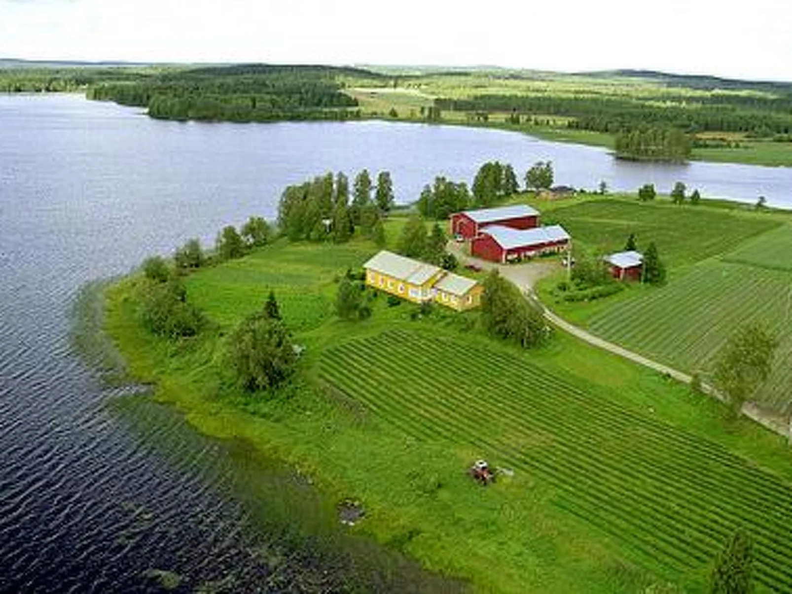 Villiruusu-Buiten