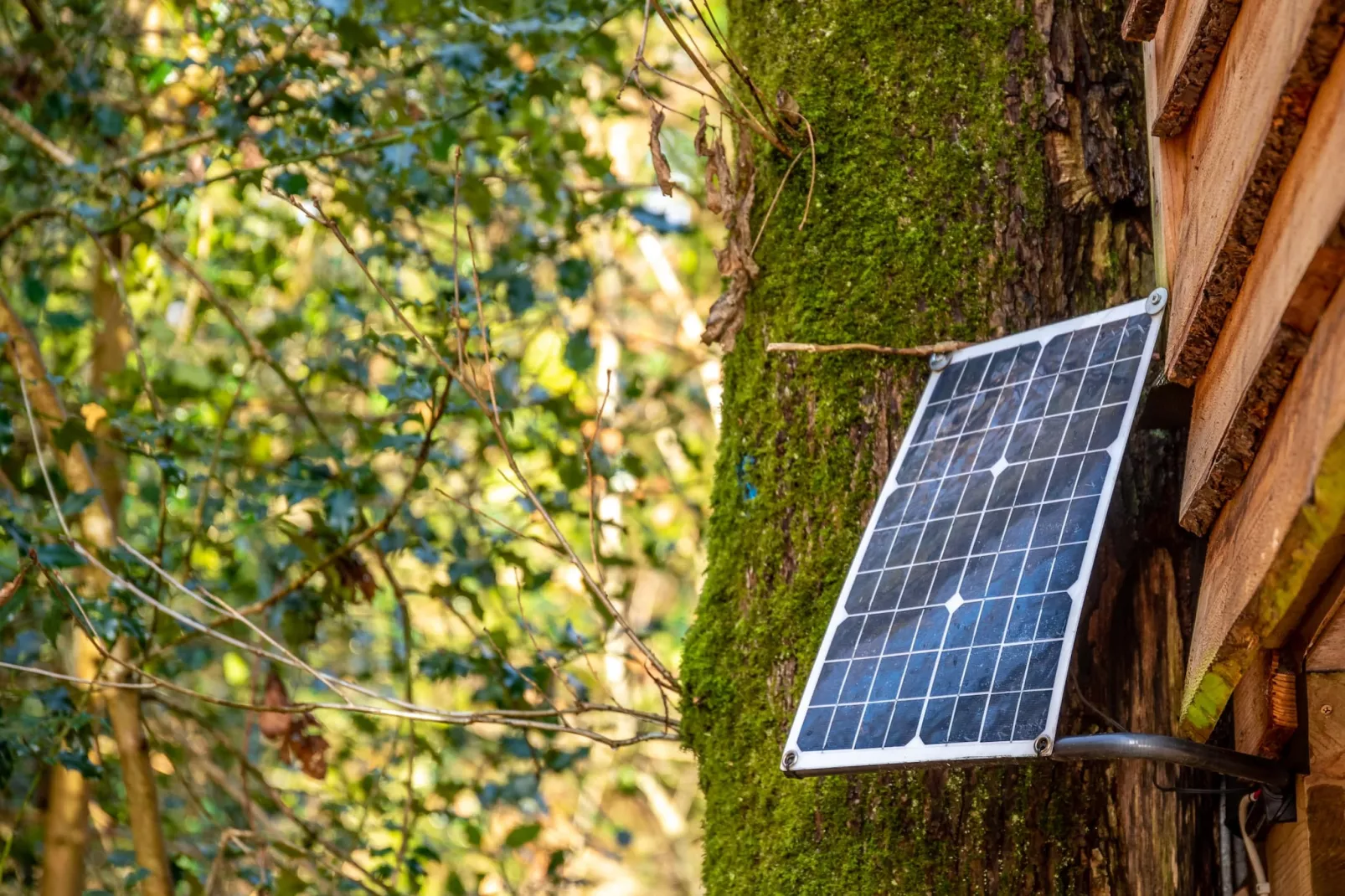Yeworthy Eco-Treehouse-Sfeer